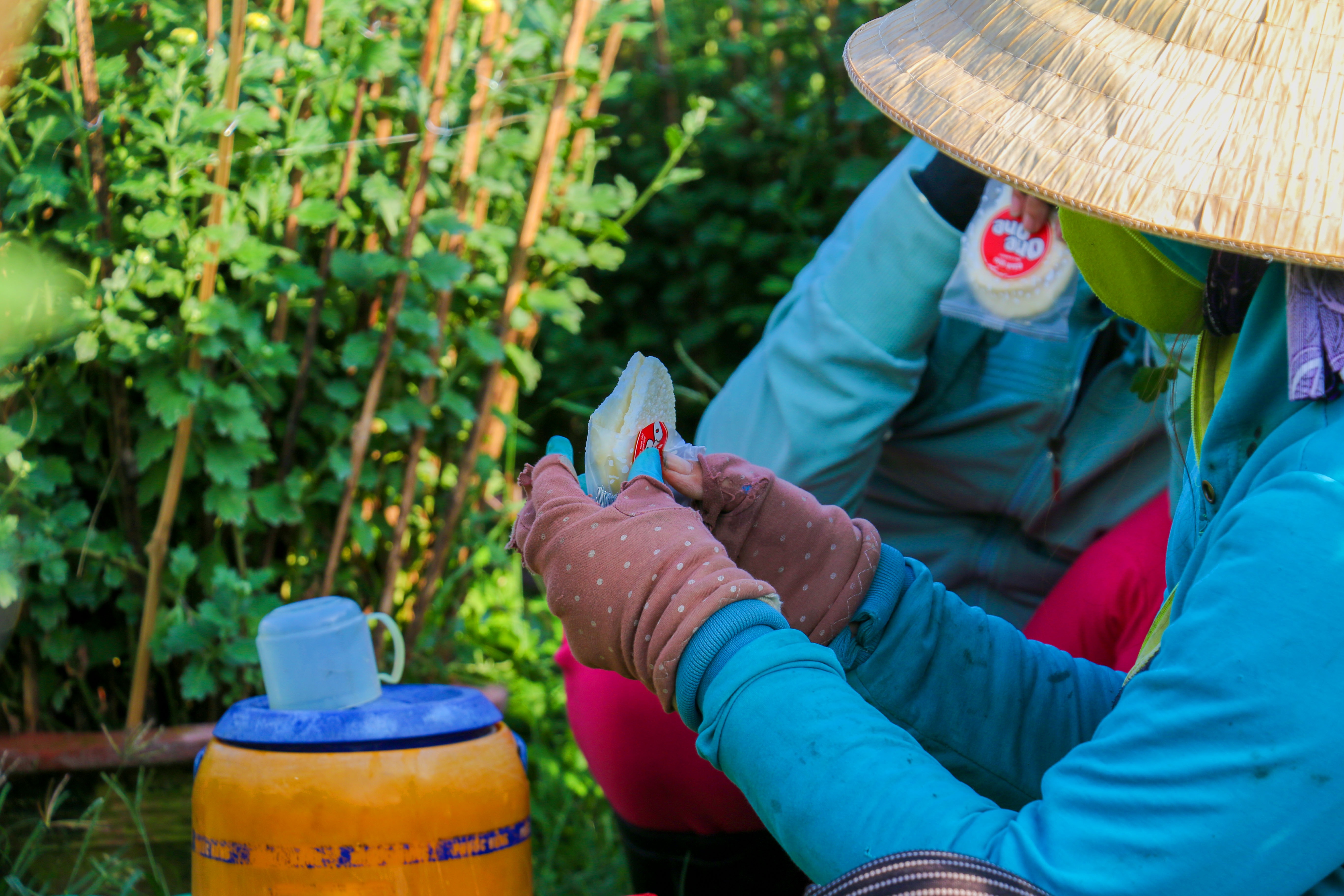 Gia ca dip Tet Tan Suu anh 6