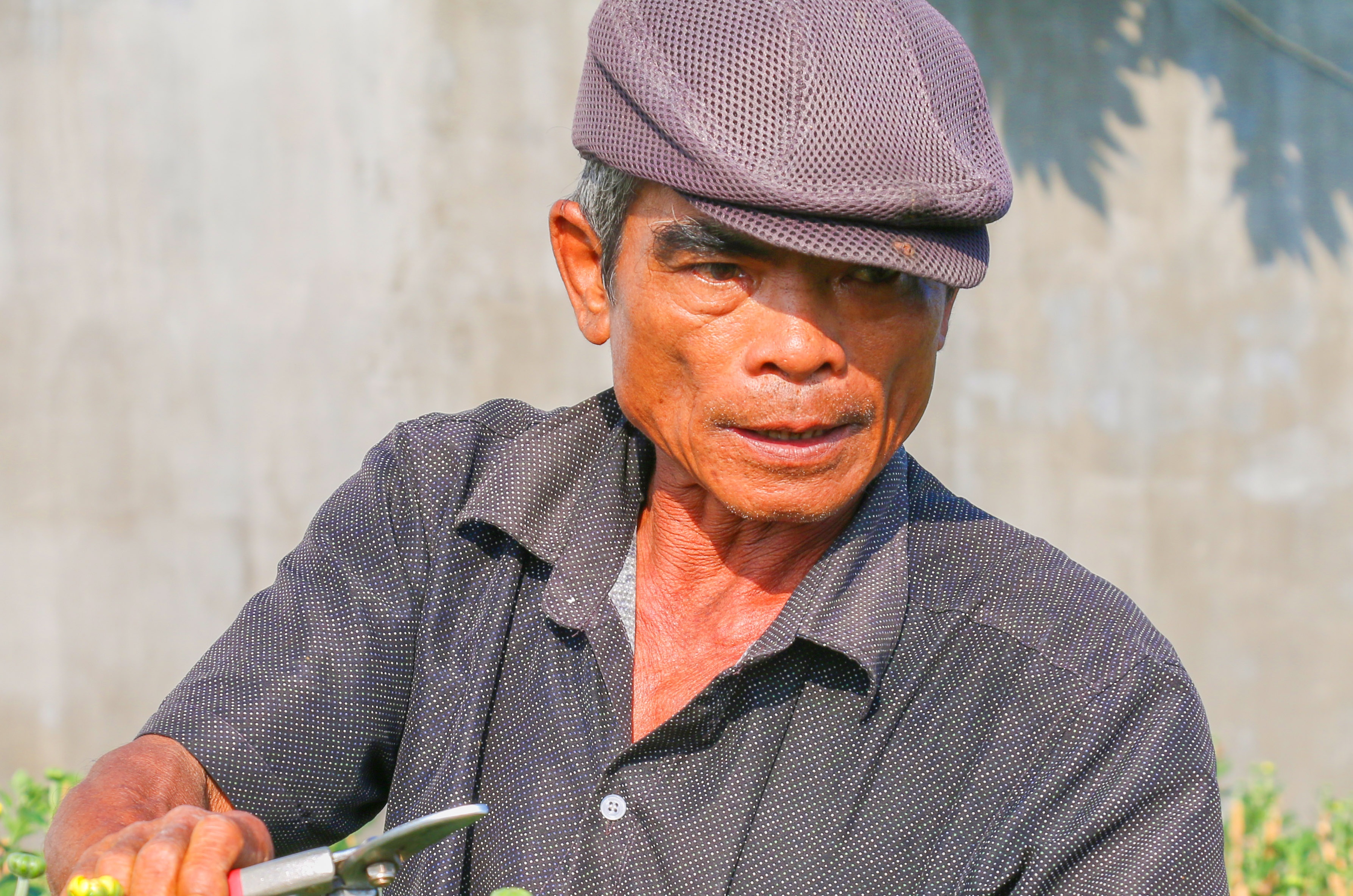 Gia ca dip Tet Tan Suu anh 4