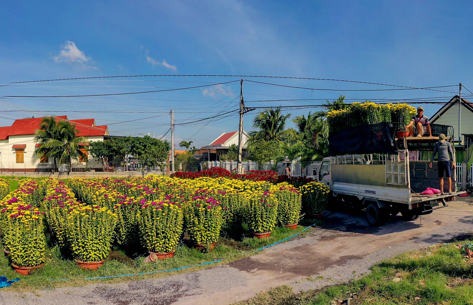 Gia ca dip Tet Tan Suu anh 9