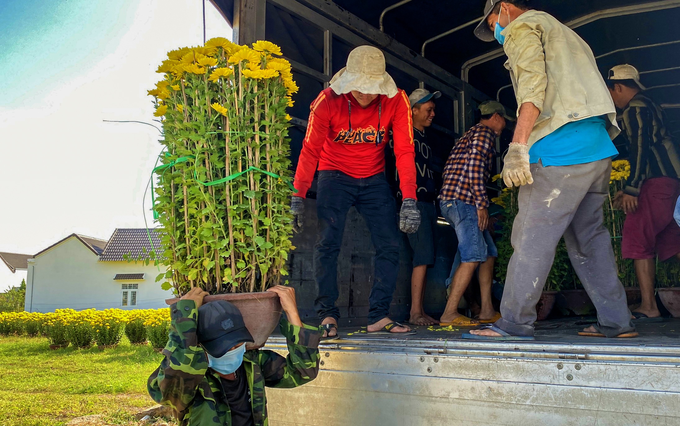 Gia ca dip Tet Tan Suu anh 10