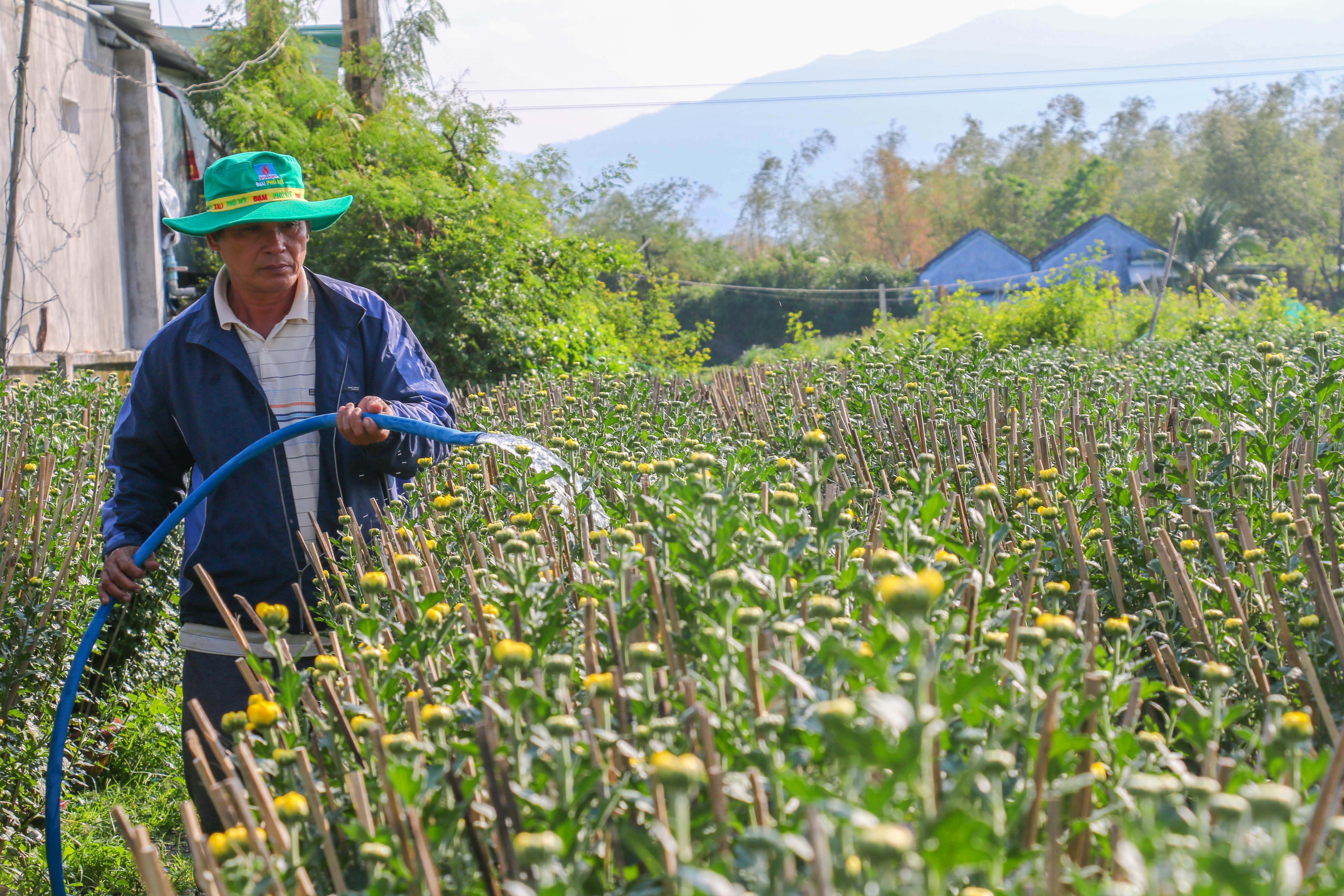 Gia ca dip Tet Tan Suu anh 8