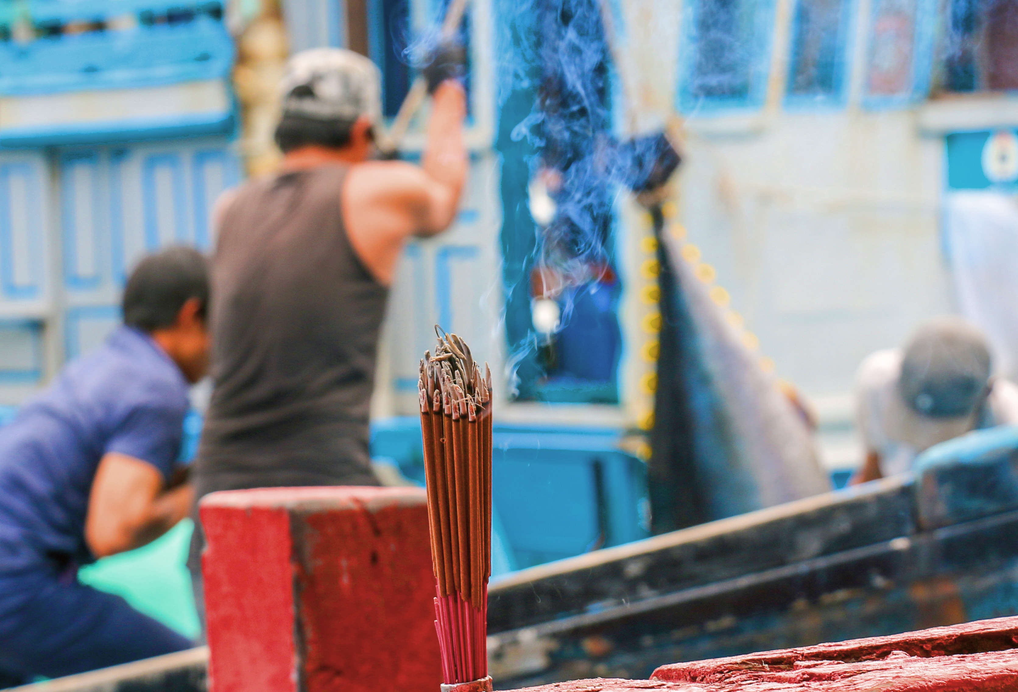 Trung dam ca ngu dai duong anh 12