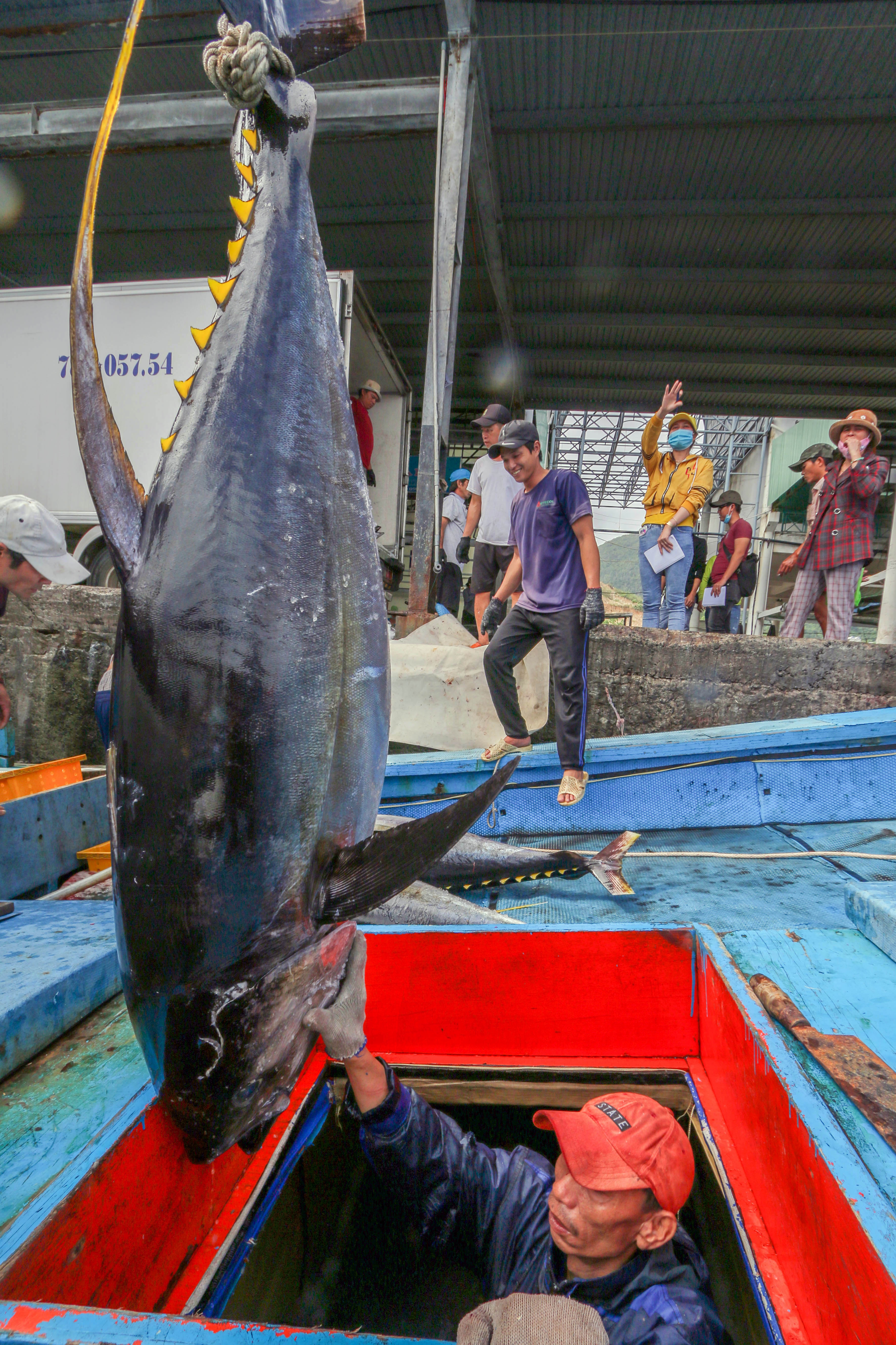 Trung dam ca ngu dai duong anh 3
