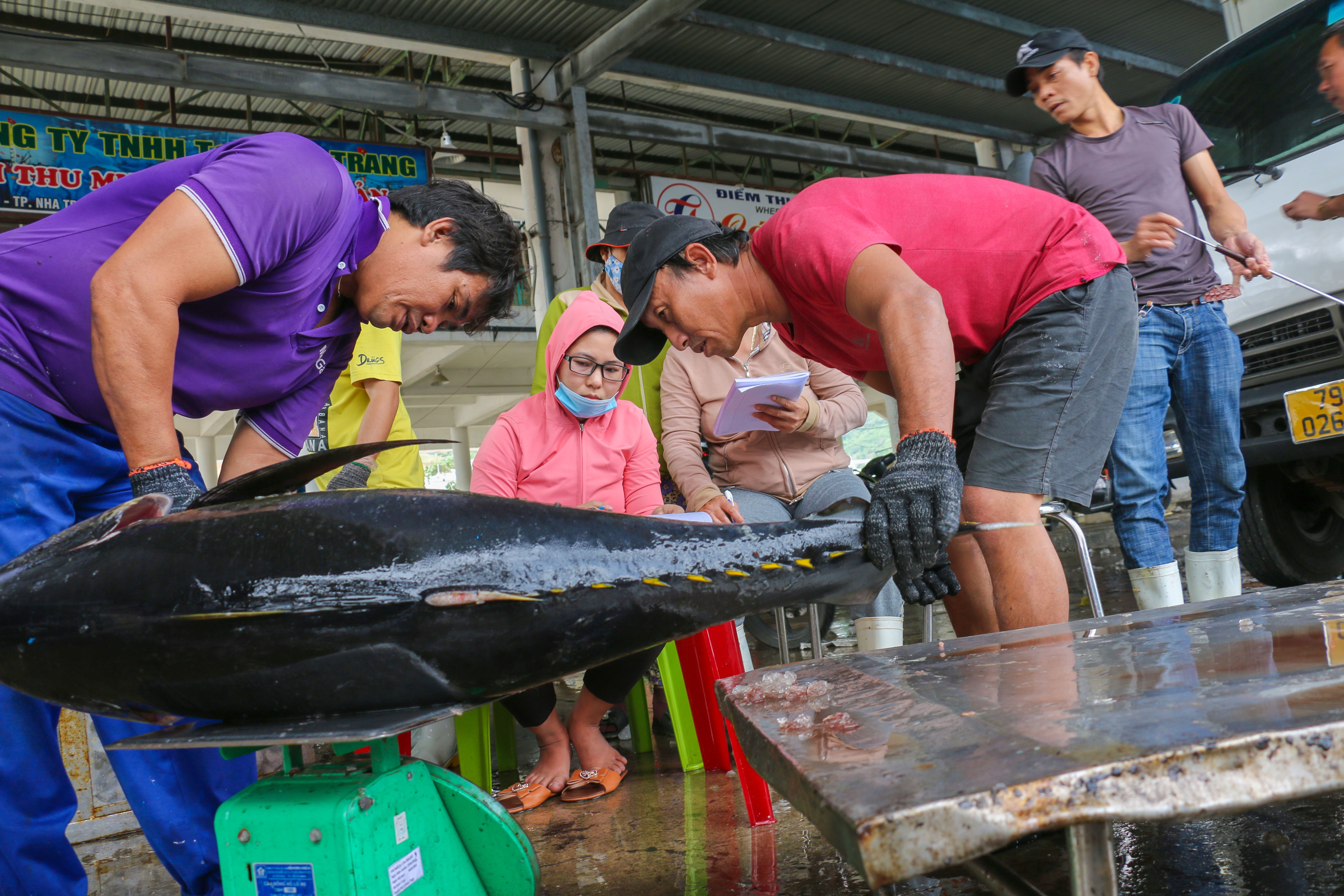 Nguoi Han Quoc chi hang trieu USD thuong thuc ca ngu Viet Nam hinh anh