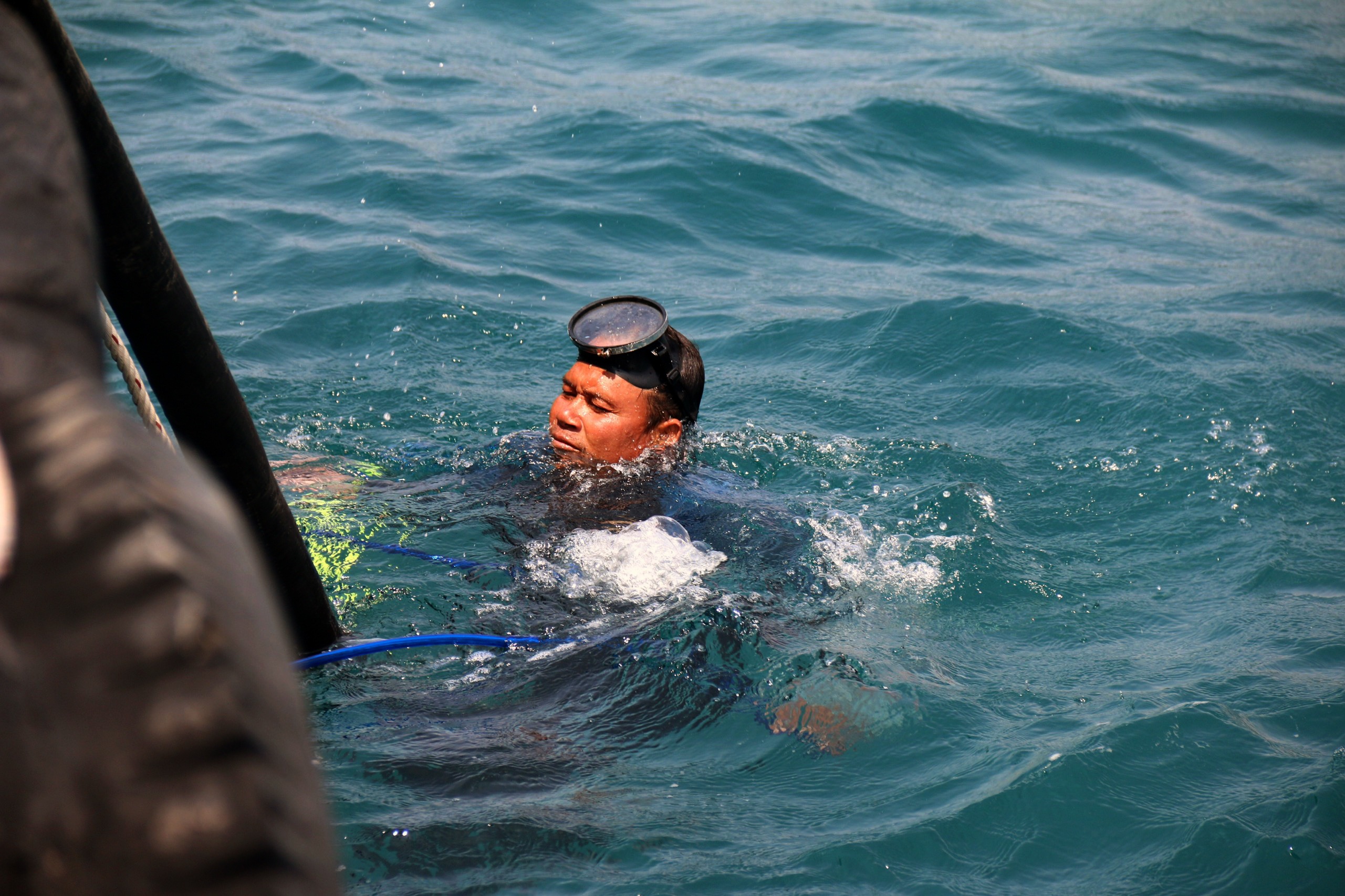 Hut dau tu tau hang chim tren bien Mui Ne hinh anh