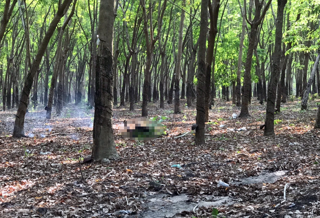 Nguoi dan ong tu vong trong ray cao su hinh anh