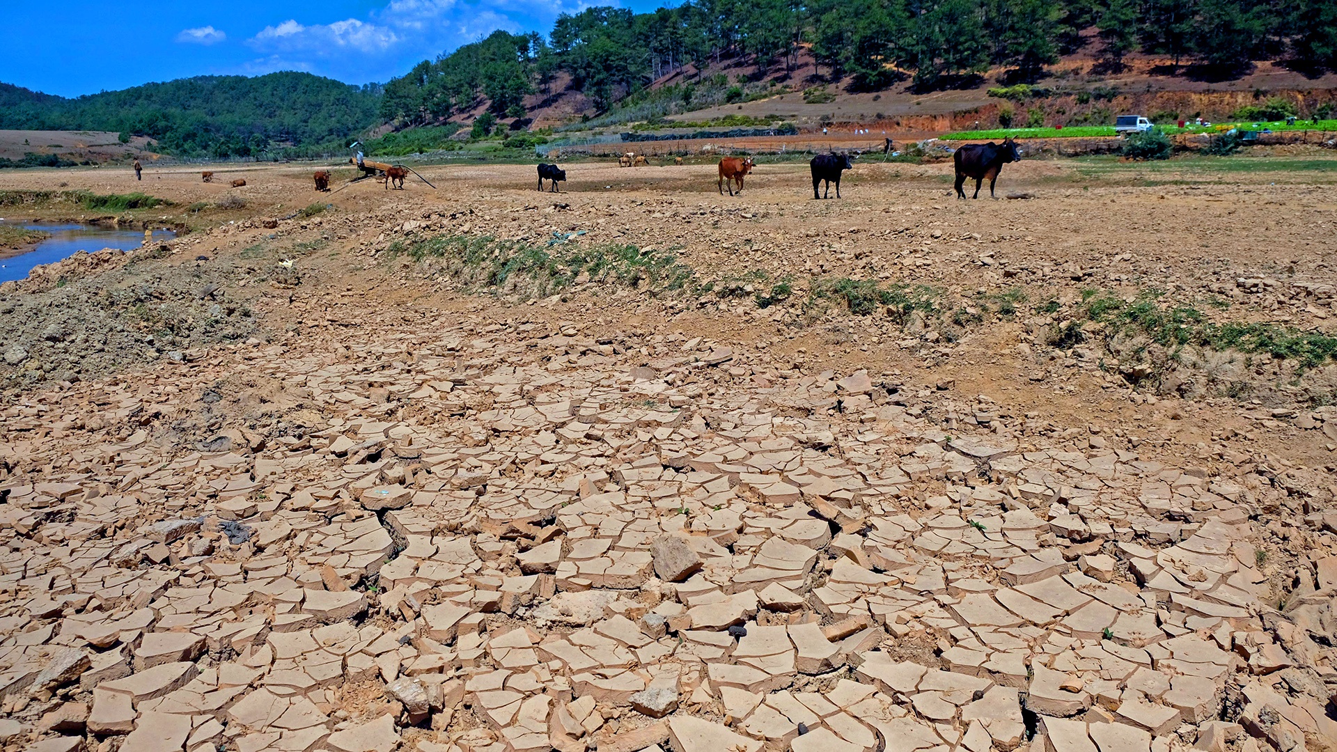 Ho lon nhat Lam Dong can tro day anh 2