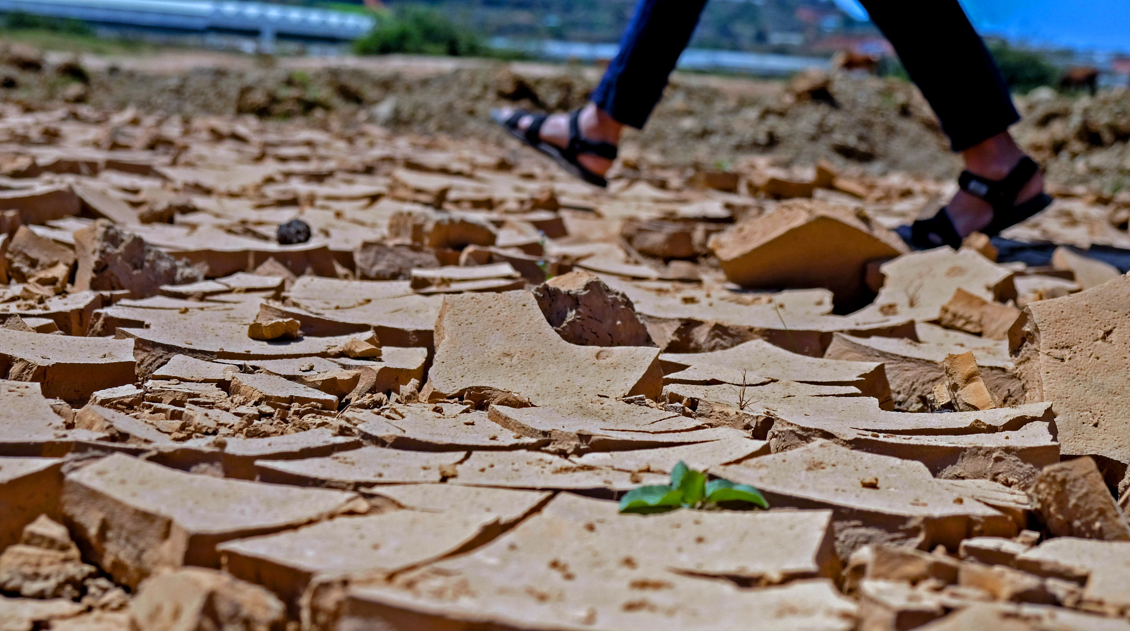 Ho Dankia - Suoi Vang can tro day hinh anh