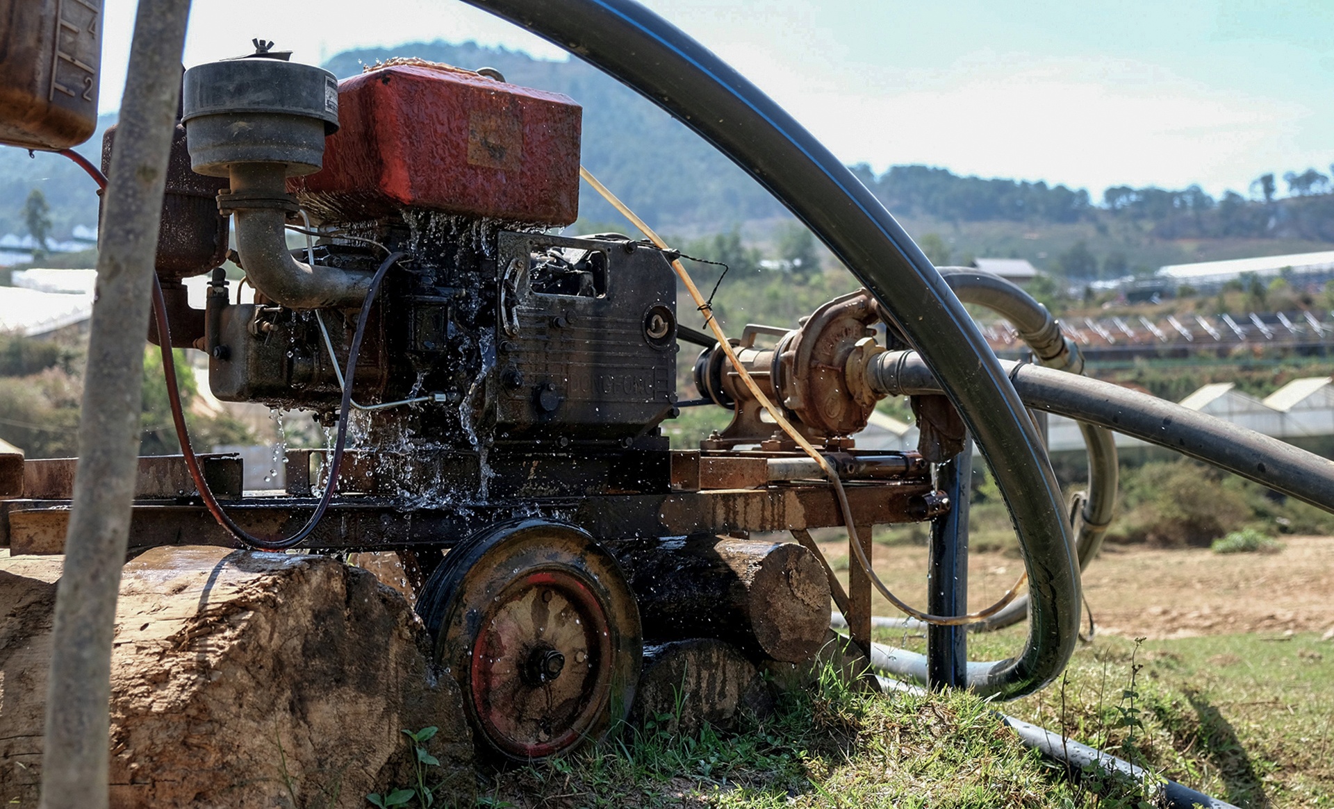 Ho lon nhat Lam Dong can tro day anh 6