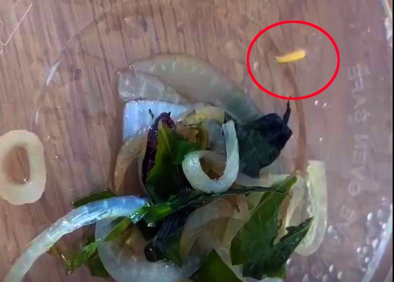 Khach to thuc an o khach san cach ly Covid-19 co doi hinh anh