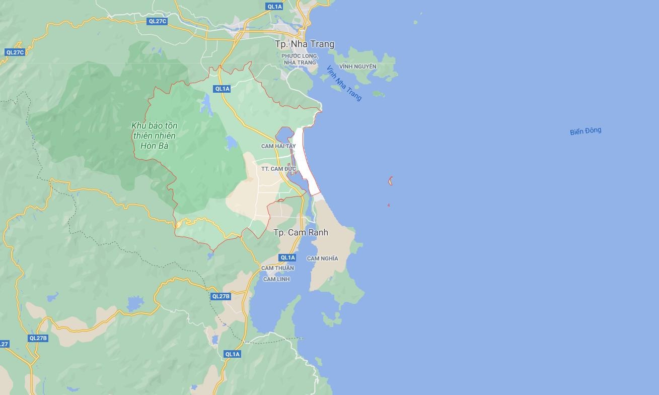 Xoai mat gia,  chi rung day goc o Khanh Hoa anh 10