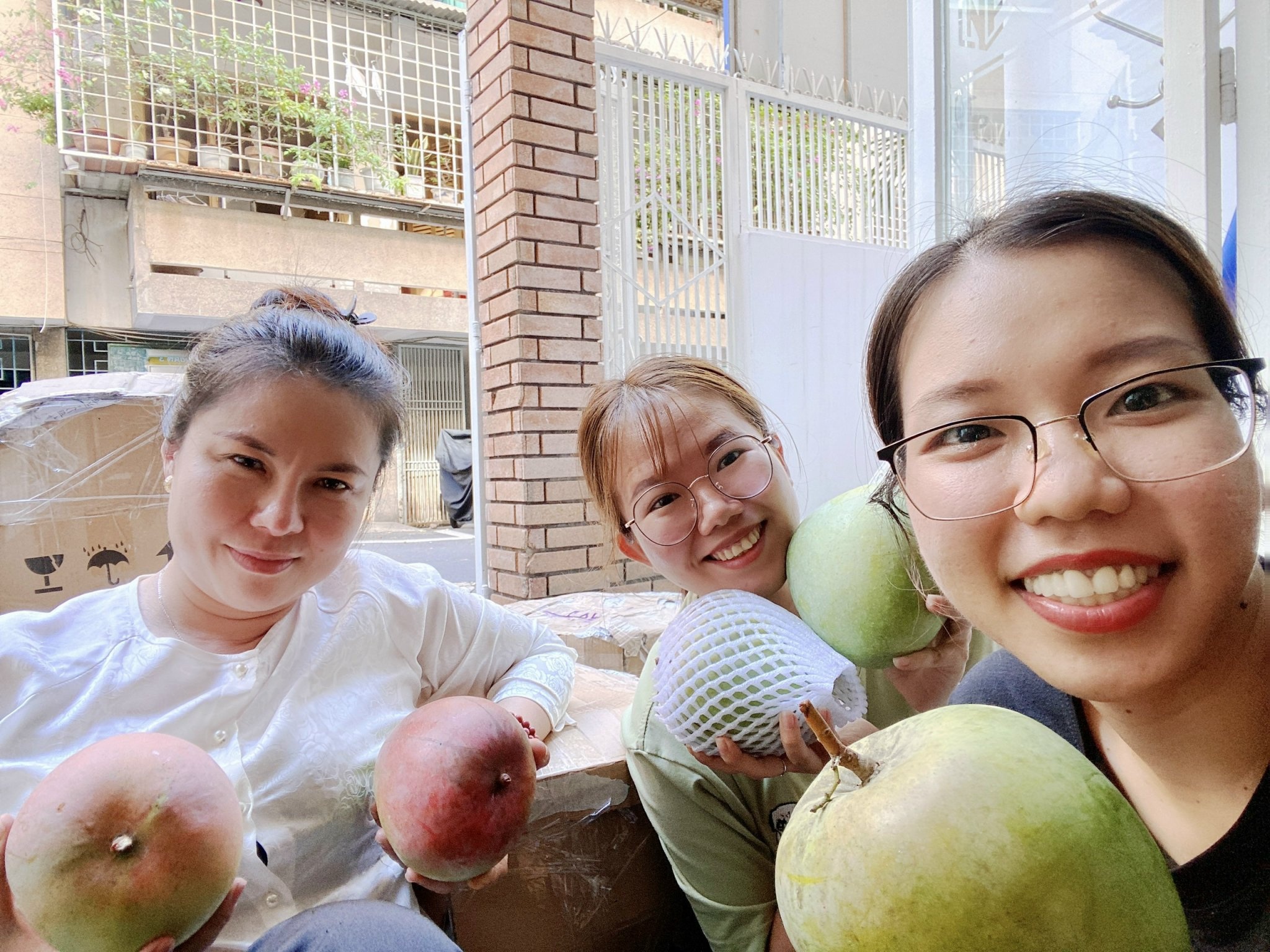 Xoai Uc duoc gia anh 1