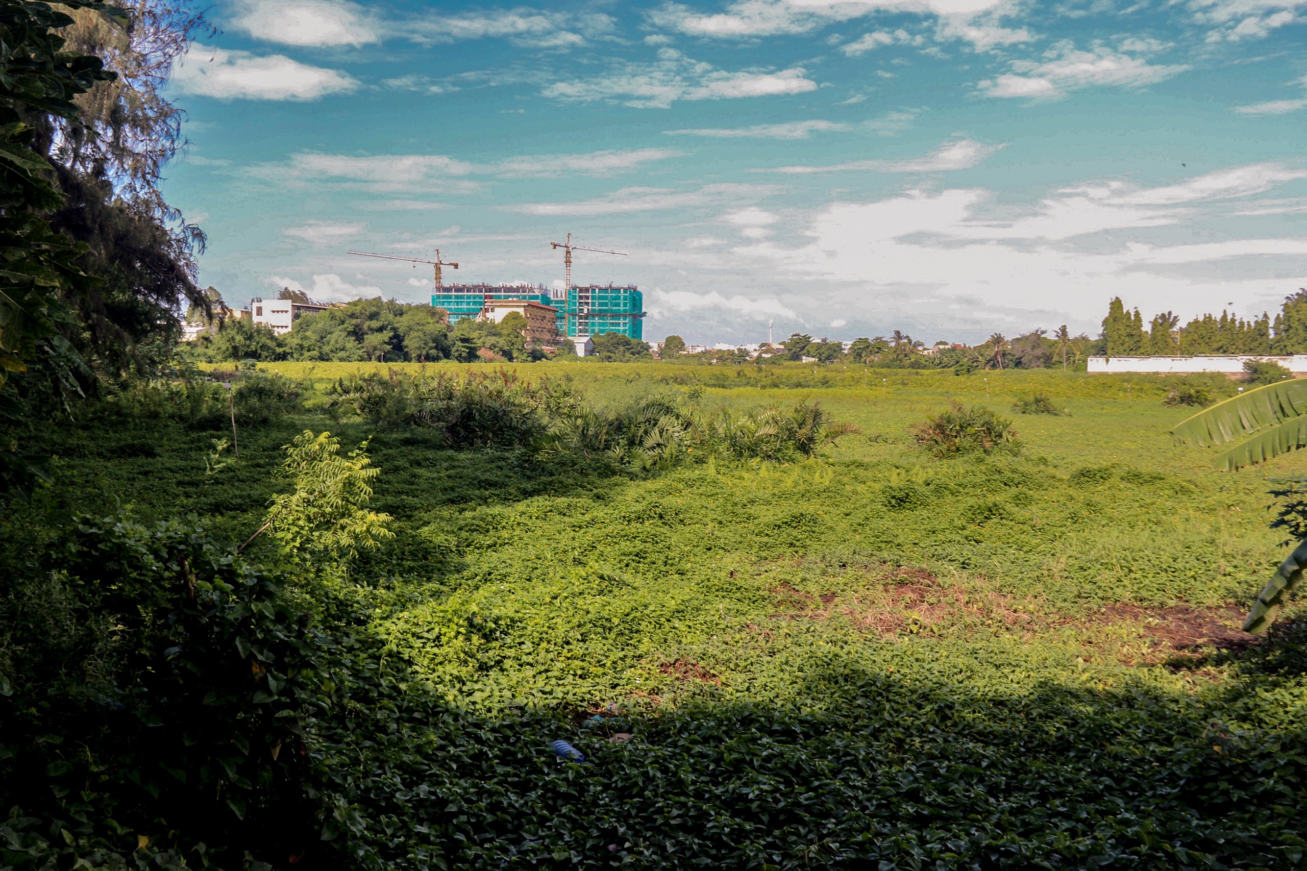 Thu hoi du an Ocean Light Center Phan Thiet anh 2