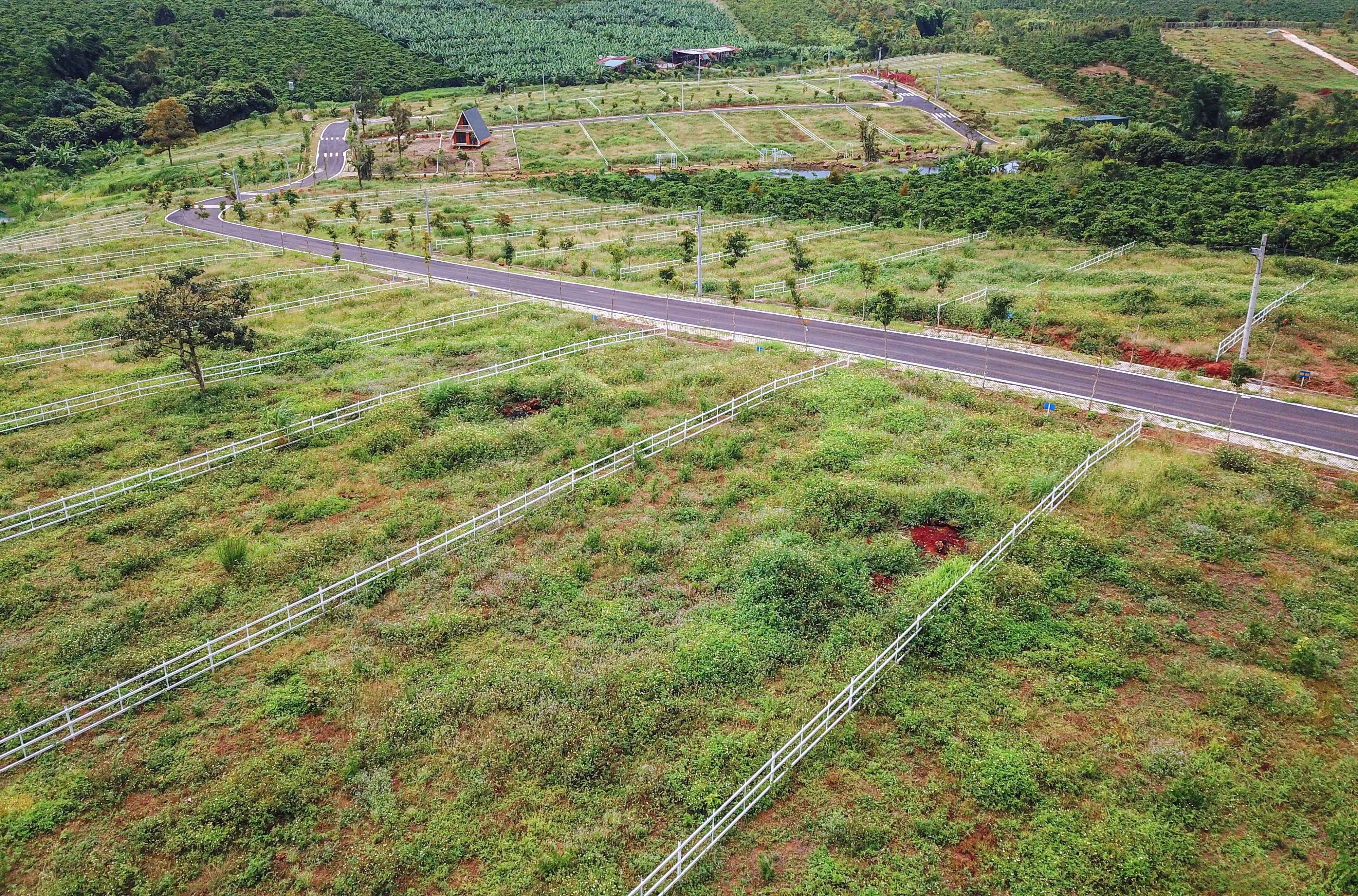 Them can bo o Bao Loc bi dinh chi vi lien quan du an 'ma' hinh anh