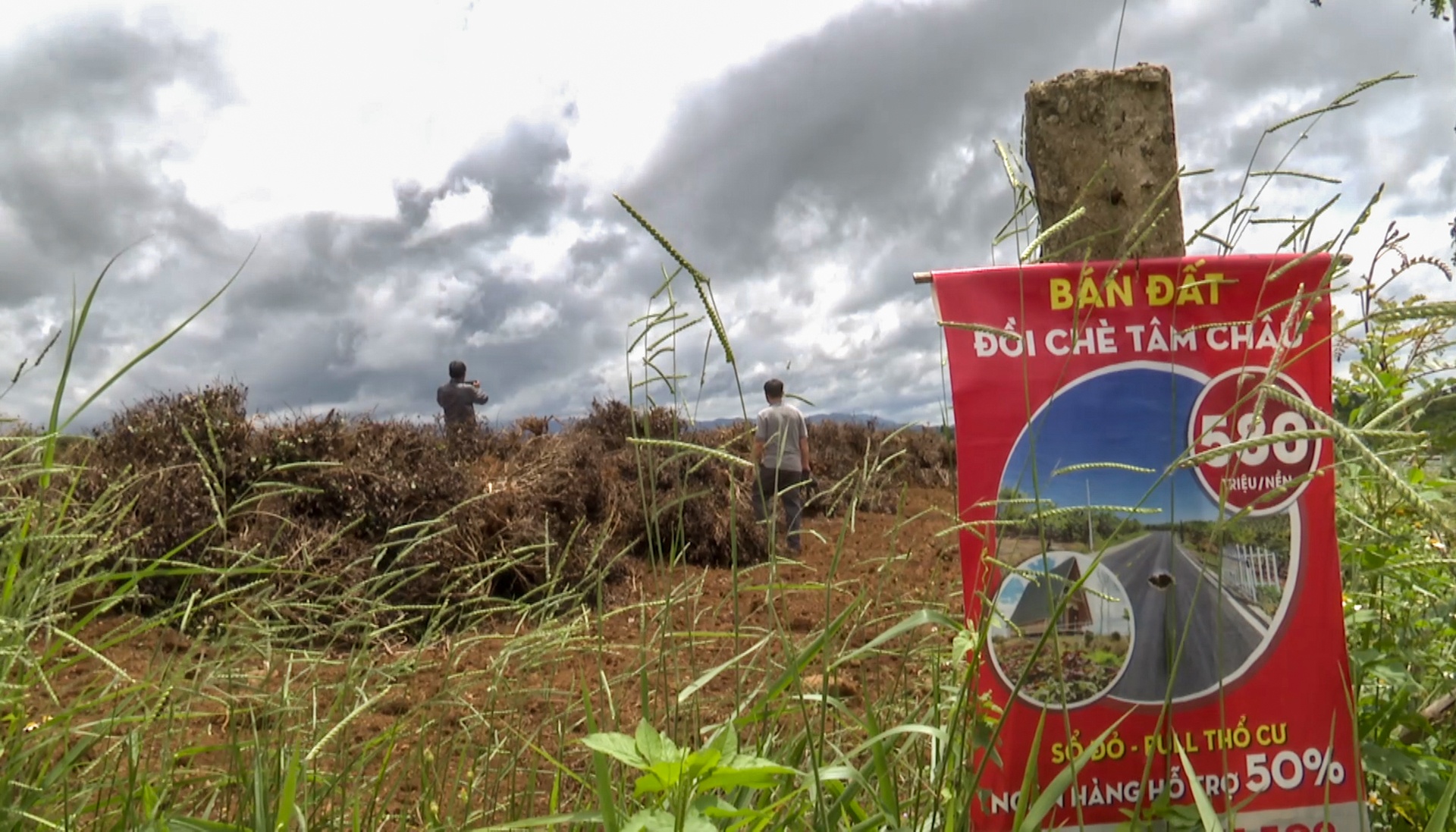 du an ma o Bao Loc anh 11