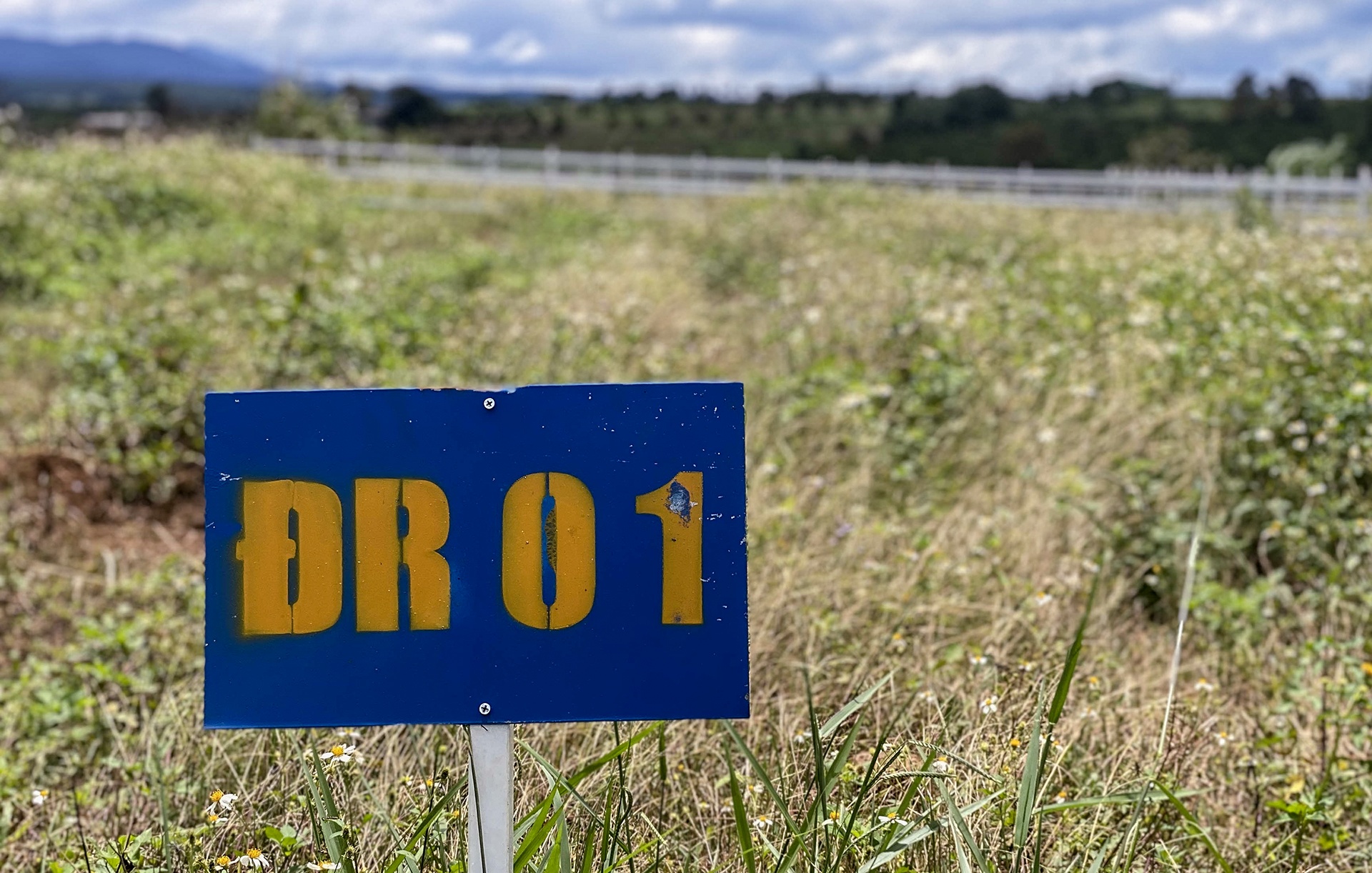 du an ma o Bao Loc anh 12