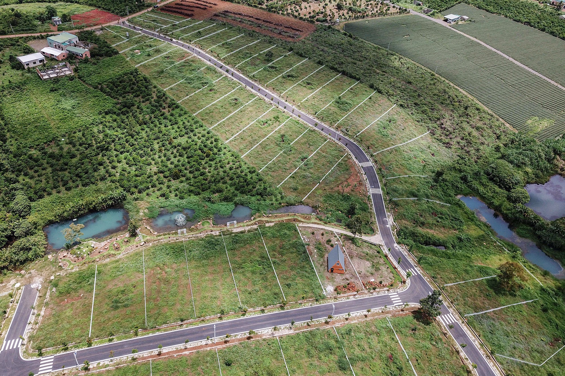 du an ma o Bao Loc anh 13