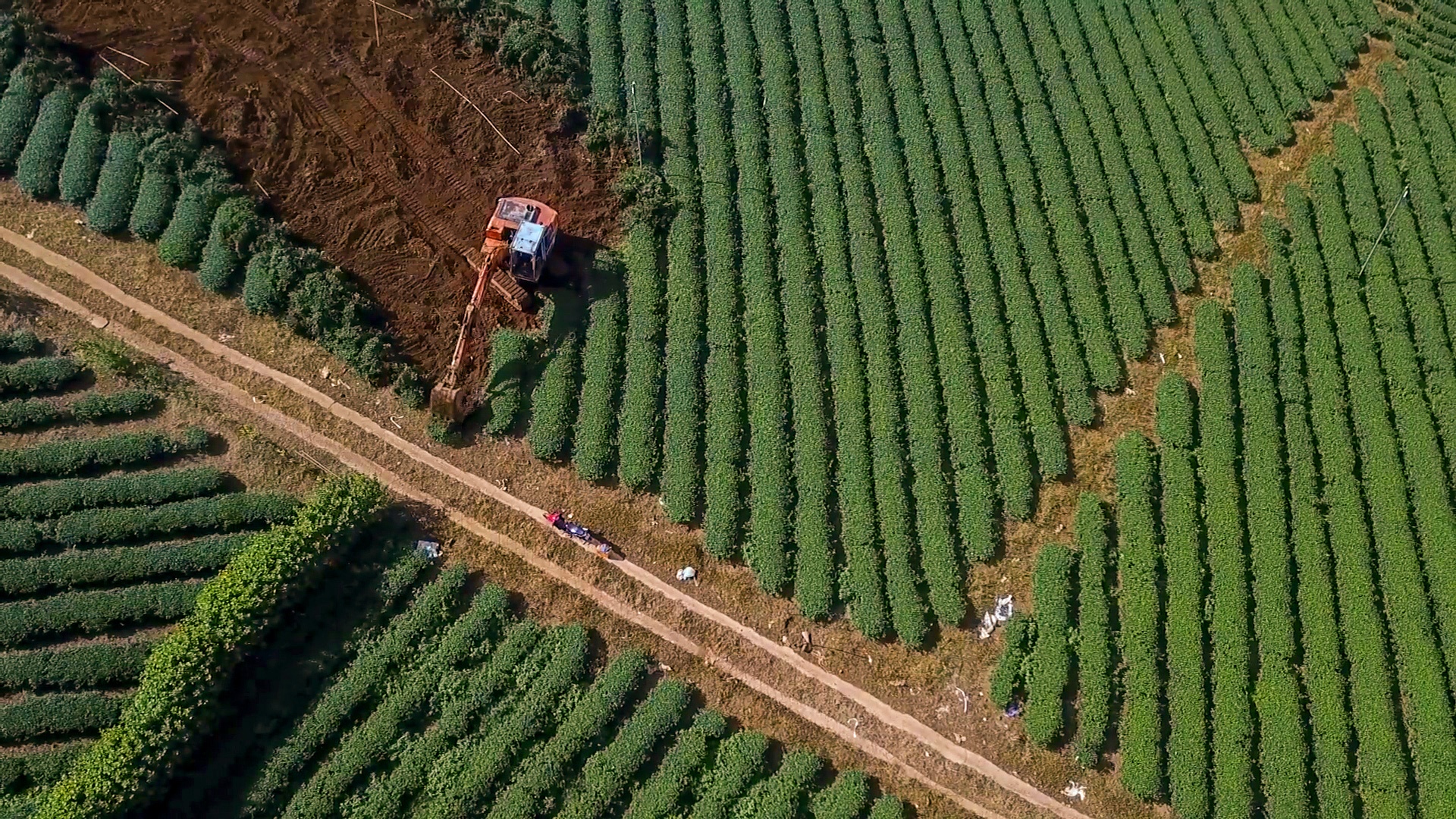 du an ma o Bao Loc anh 4