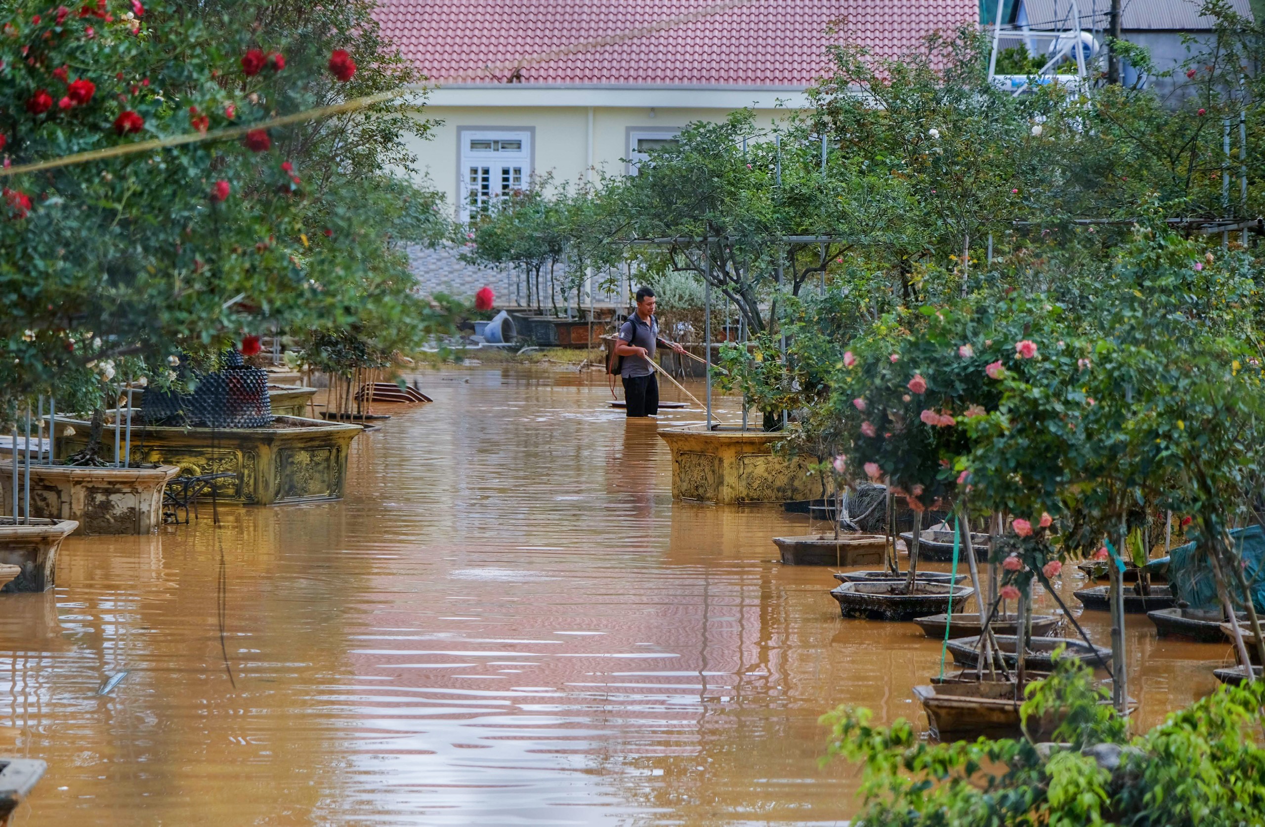 Da Lat ngap nang anh 10