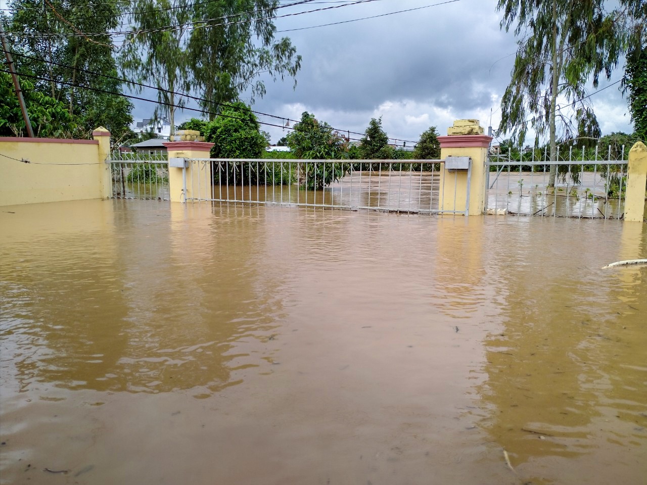 Da Lat ngap nang anh 1