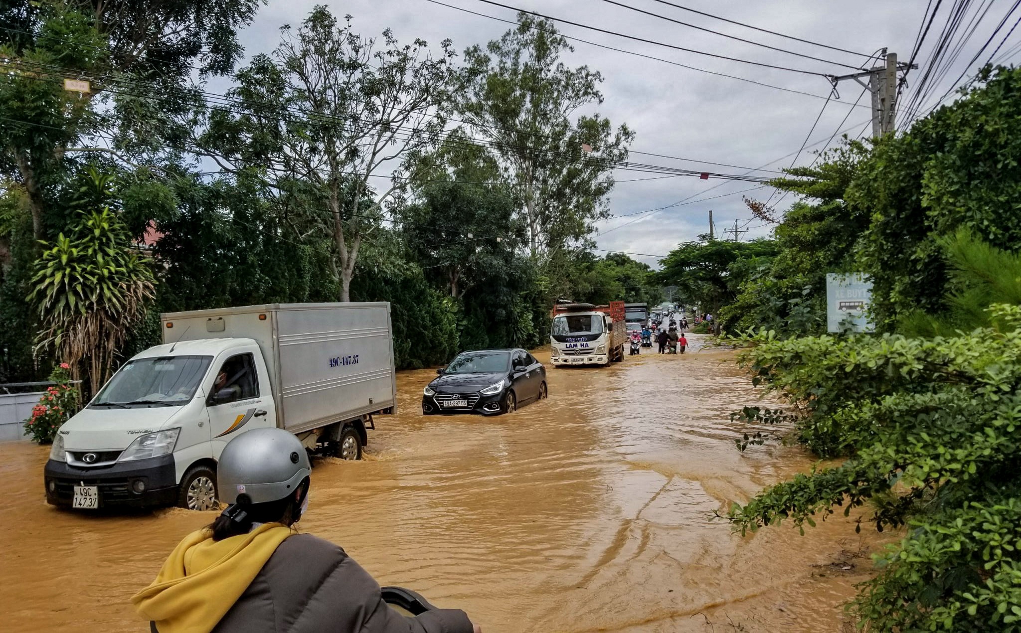 Da Lat ngap nang anh 2
