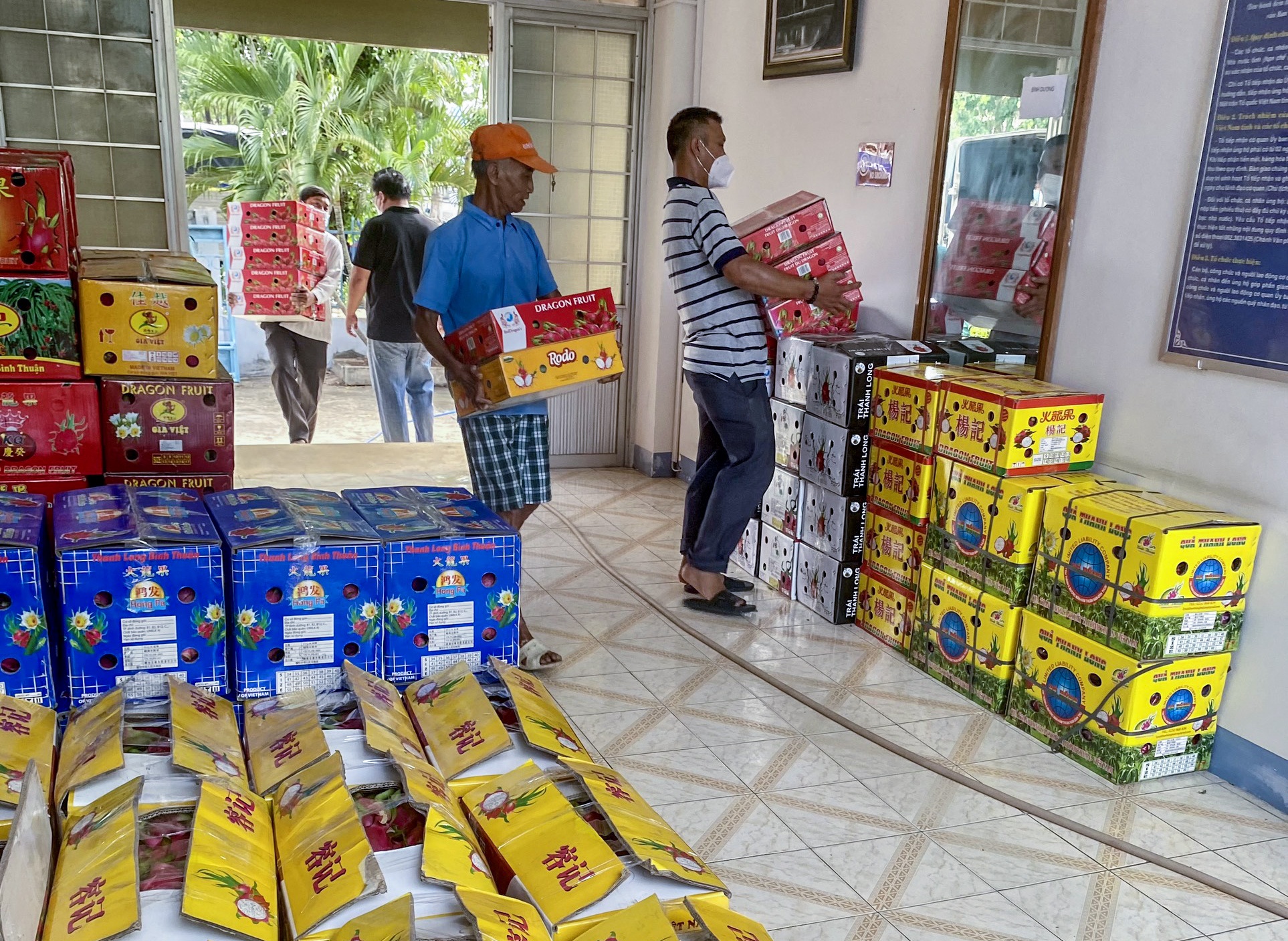 Binh Thuan gui ca, nuoc mam, thanh long ho tro TP.HCM va Binh Duong hinh anh