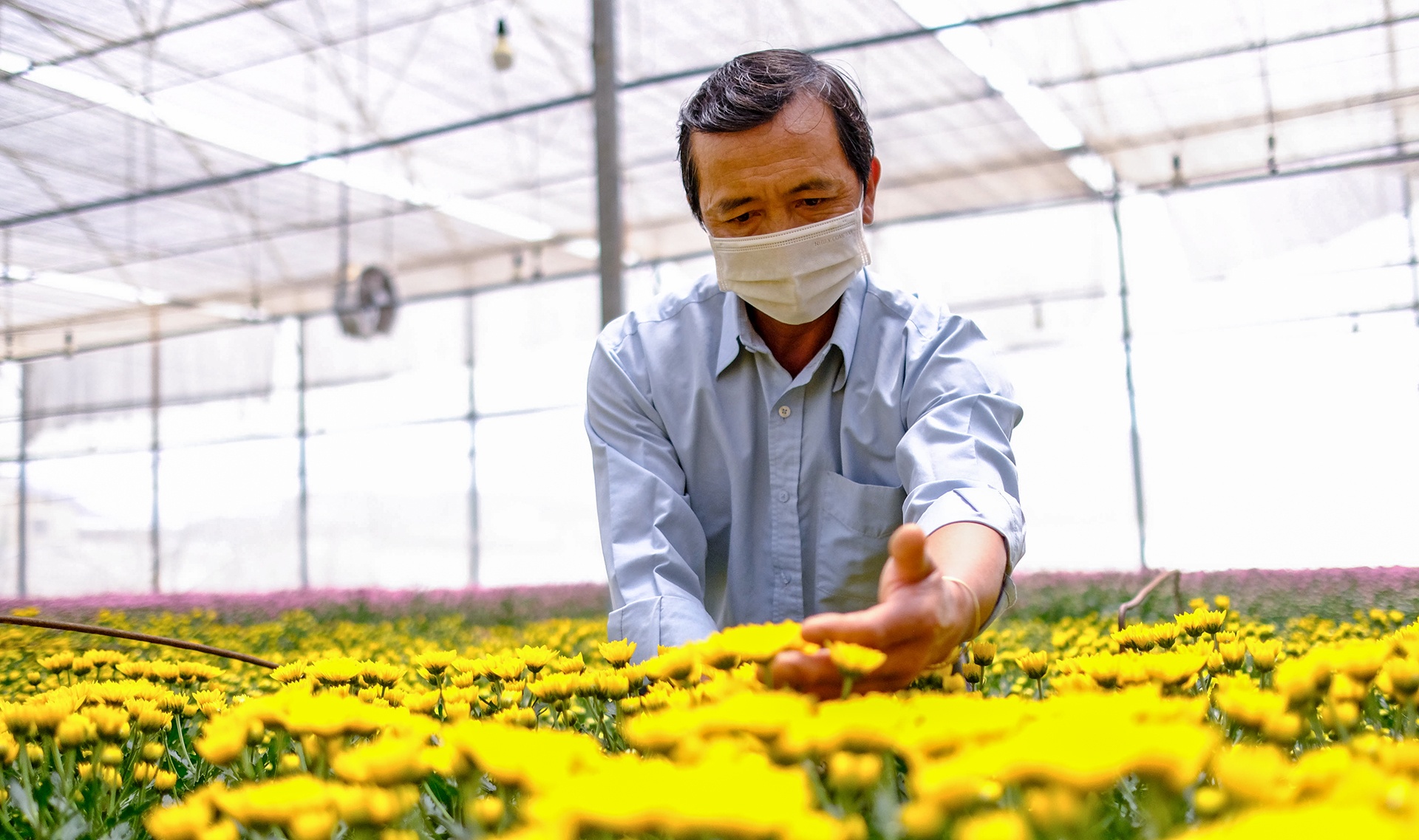 Hoa Da Lat do bo anh 6