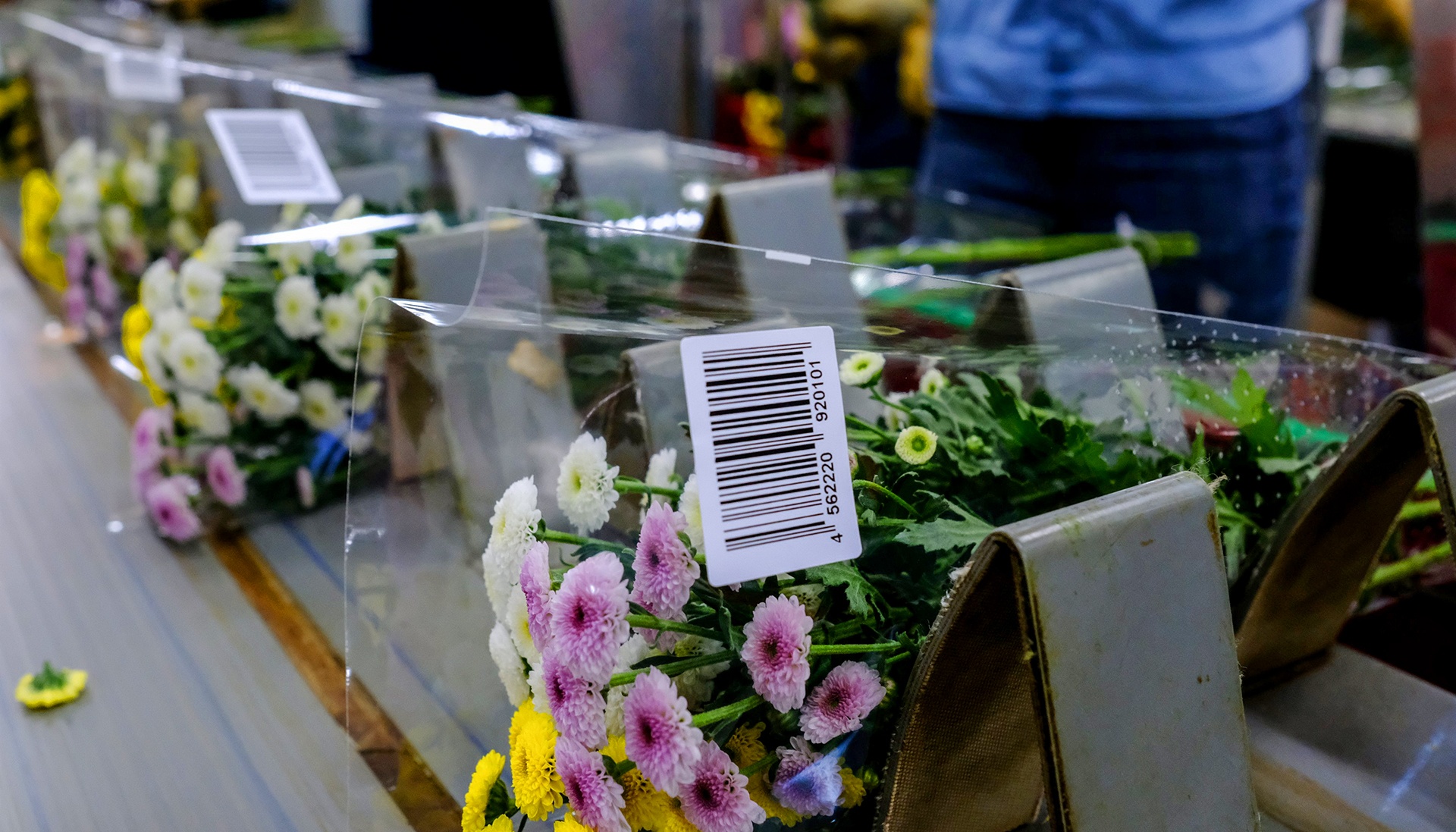 Hoa Da Lat do bo anh 10