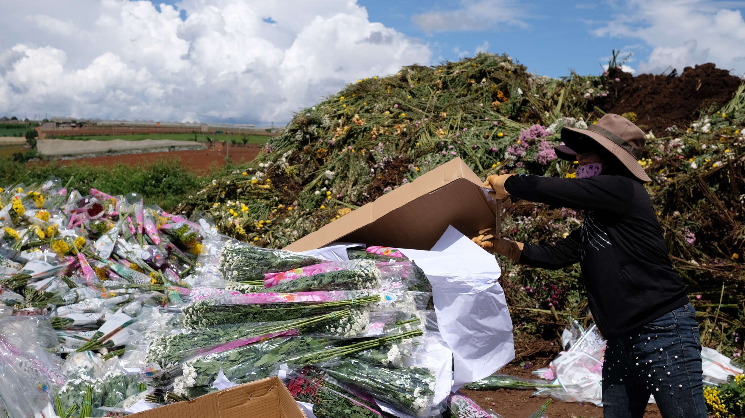 Da Lat tieu huy ca trieu canh hoa hinh anh