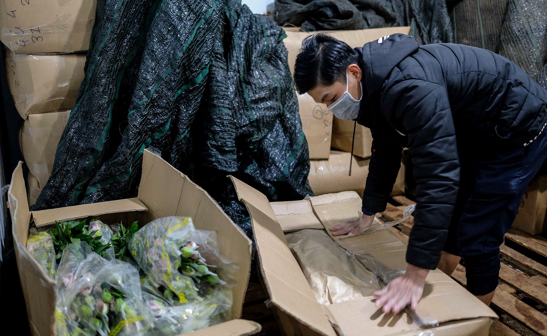 Hoa Da Lat phai nho bo anh 11