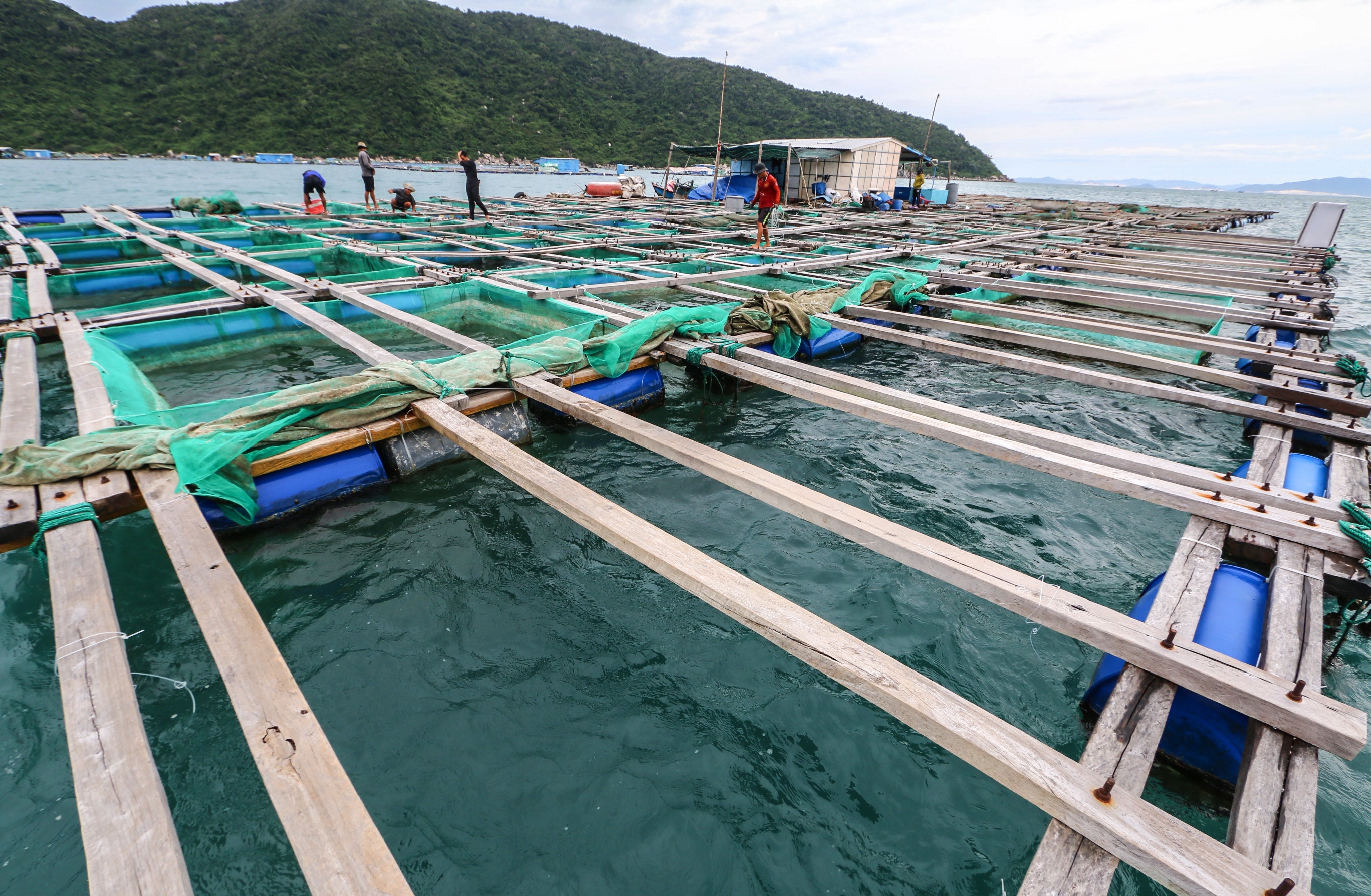 gia tom hum xuong thap anh 1