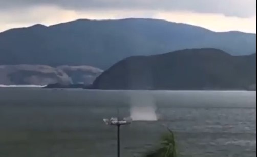 Canh voi rong tren bien Nha Trang hinh anh