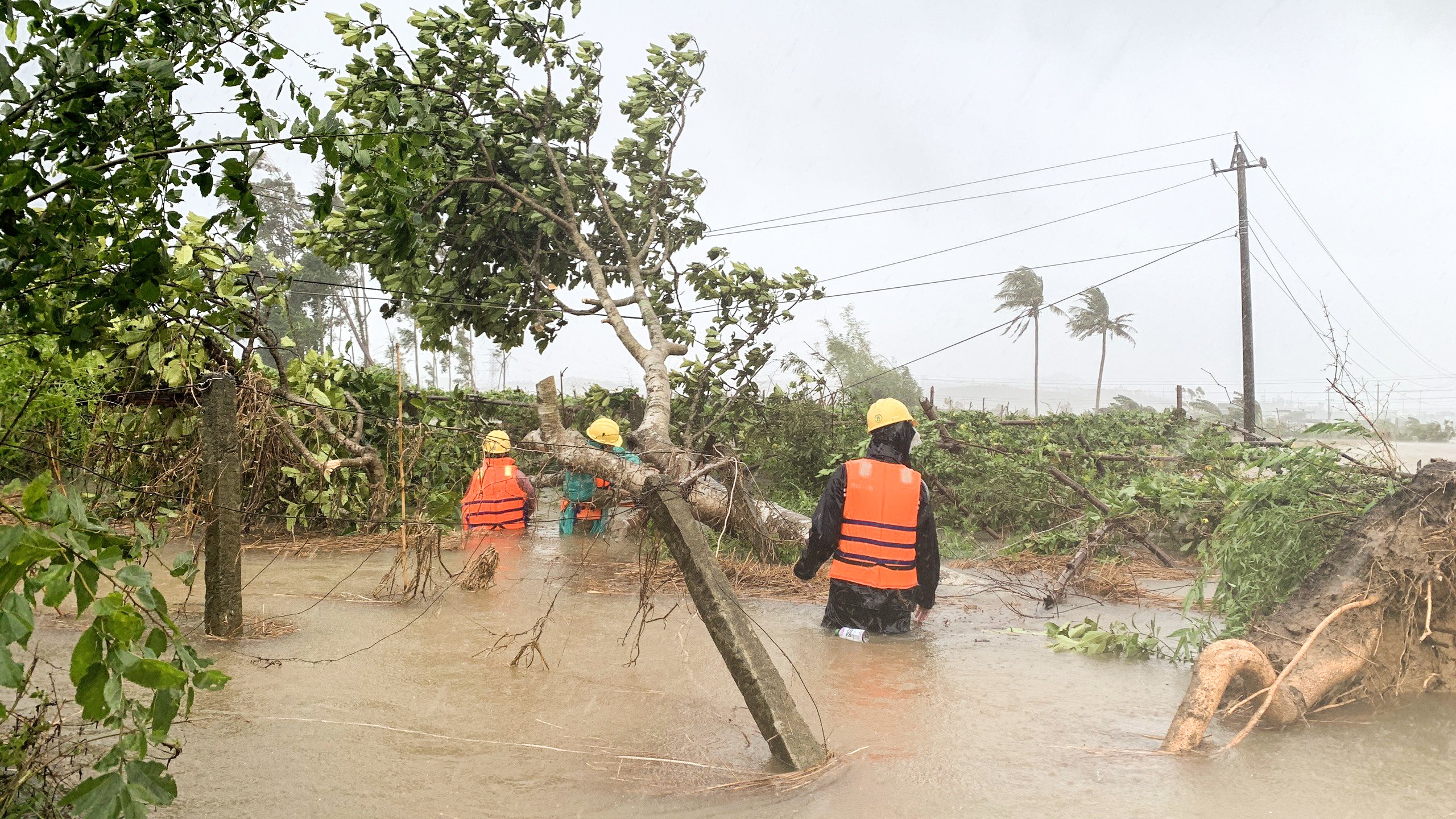 thiet hai dao bao anh 3