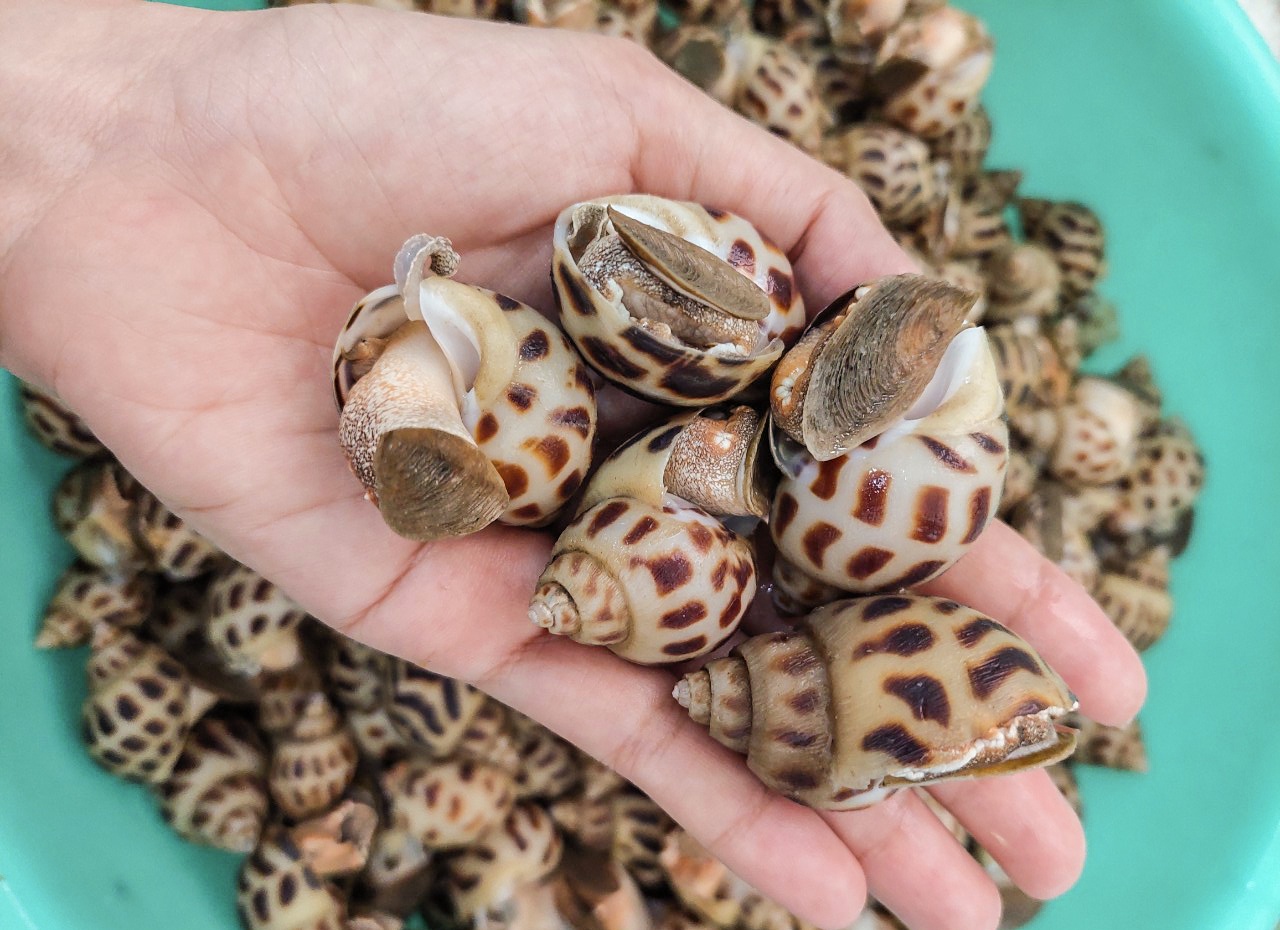 Thuy san ton ca nghin tan, nong dan mang di ban le hinh anh