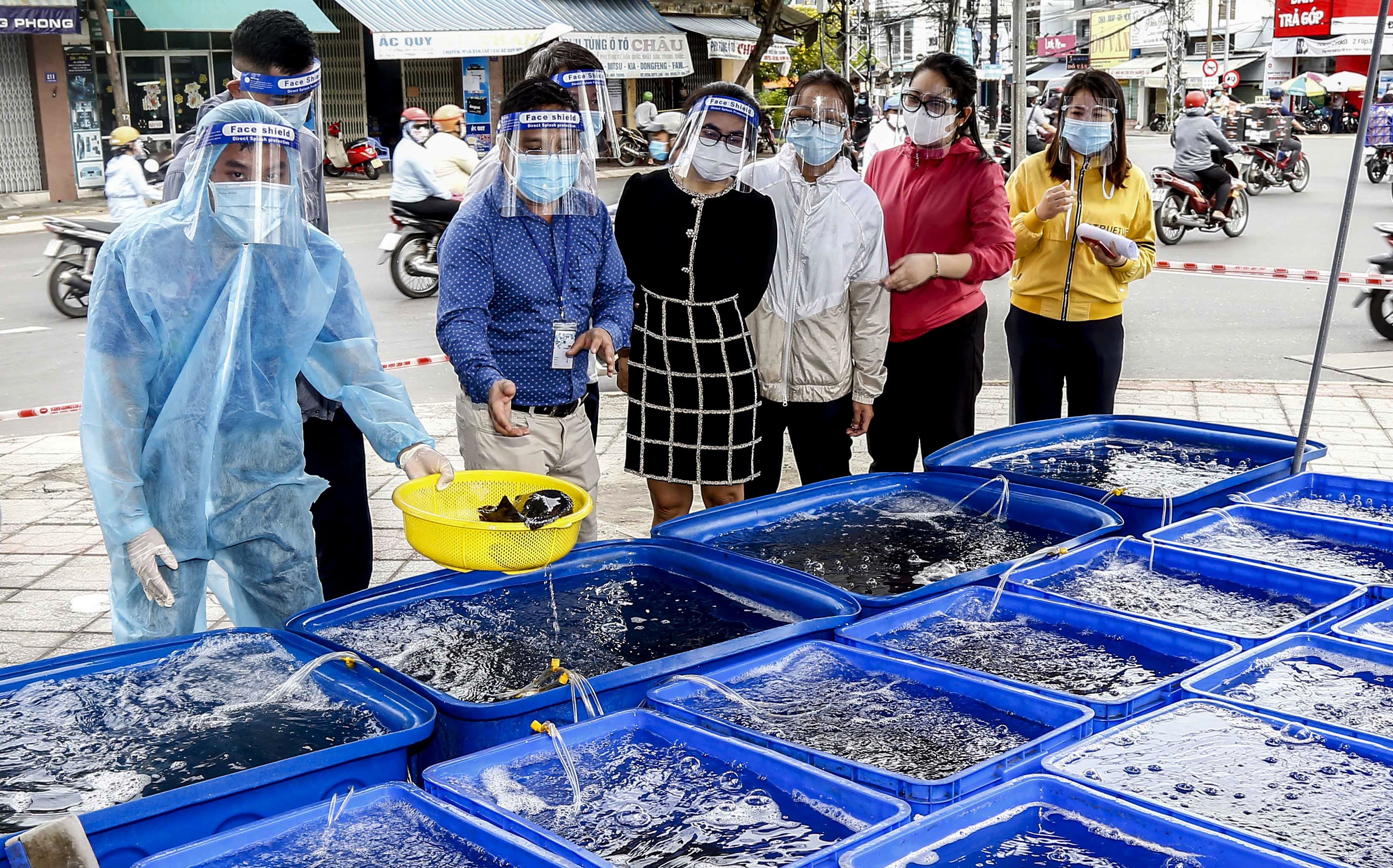 gia ca mu bong anh 2