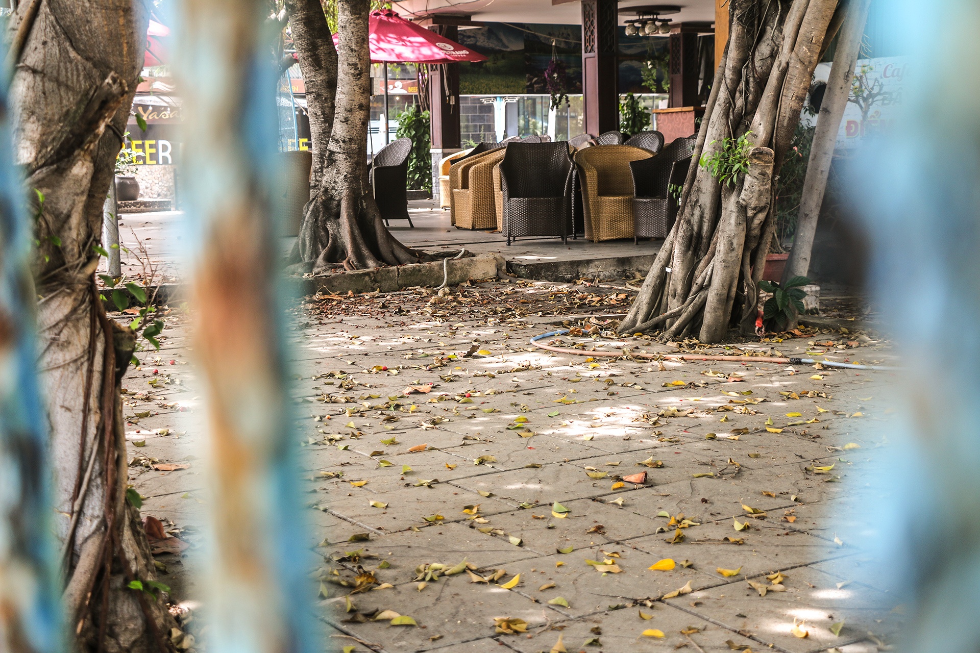 cho phep mo lai quan nhau anh 5