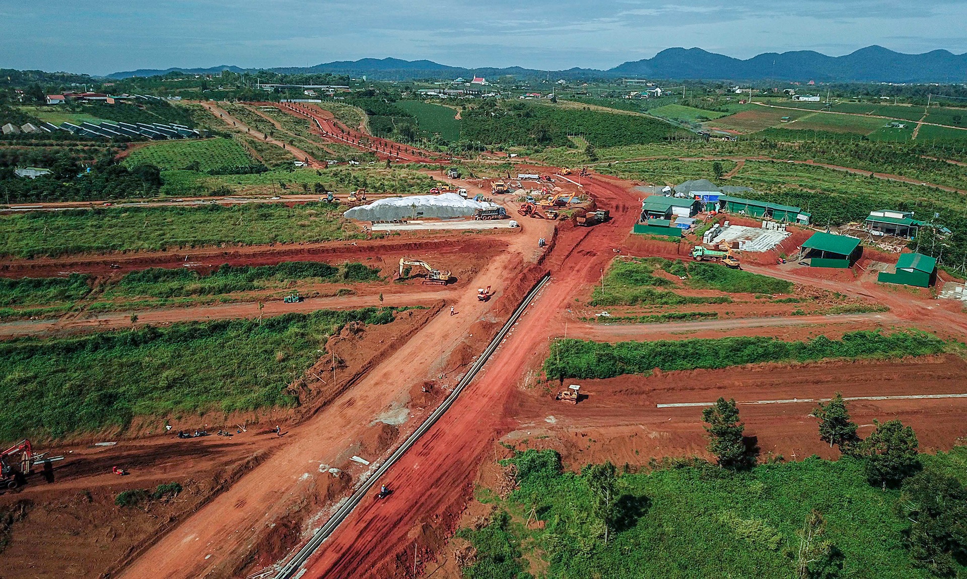 Thu phu tra Lam Dong bi 'bam nat' hinh anh