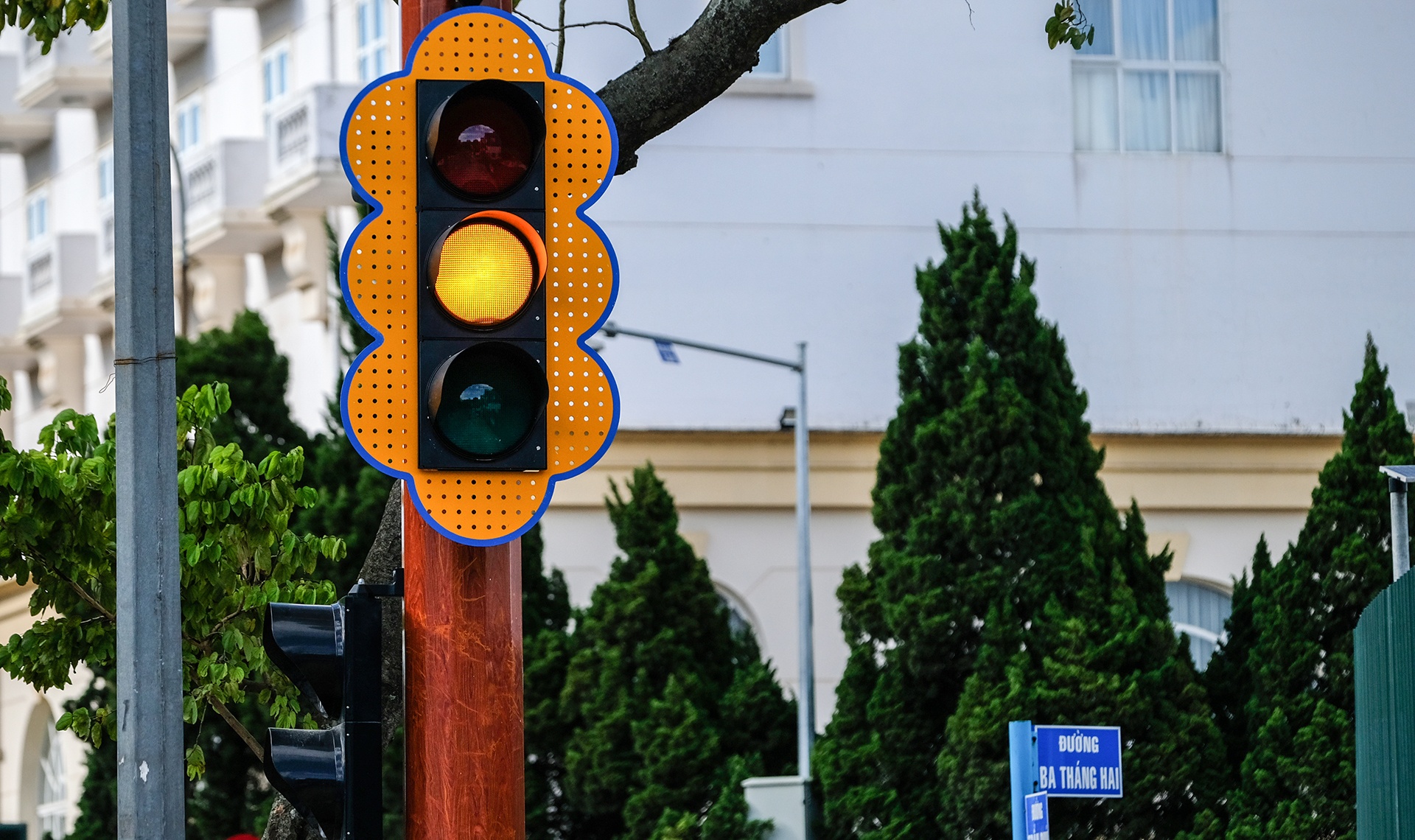 Da Lat lap den xanh,  do anh 2