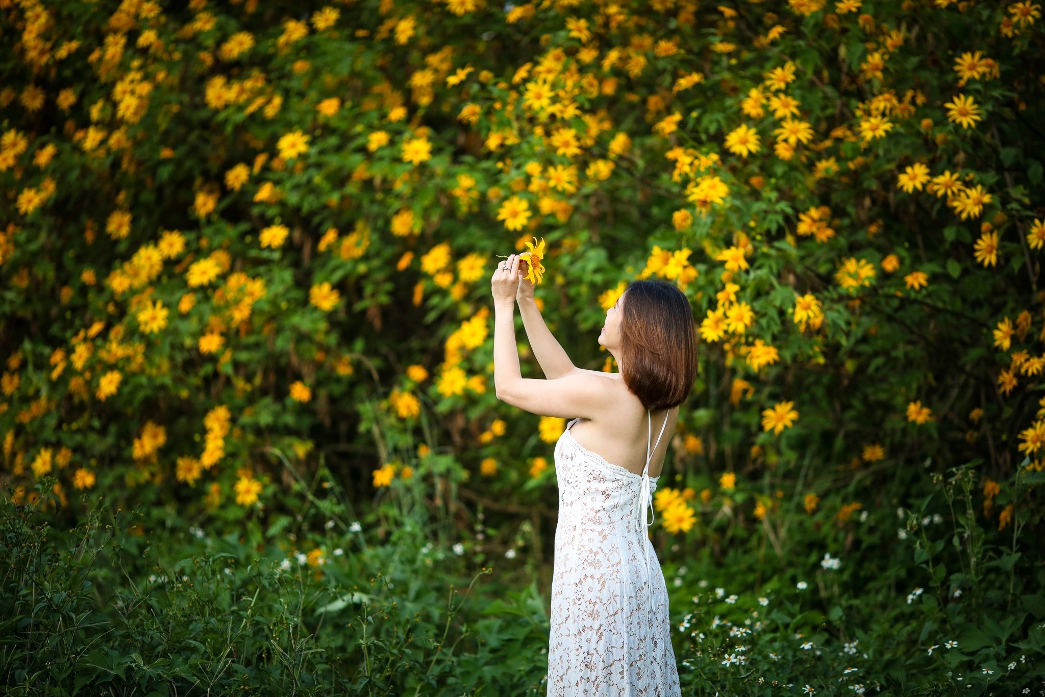 Da Lat siet quan ly du khach, nguoi ngoai tinh hinh anh