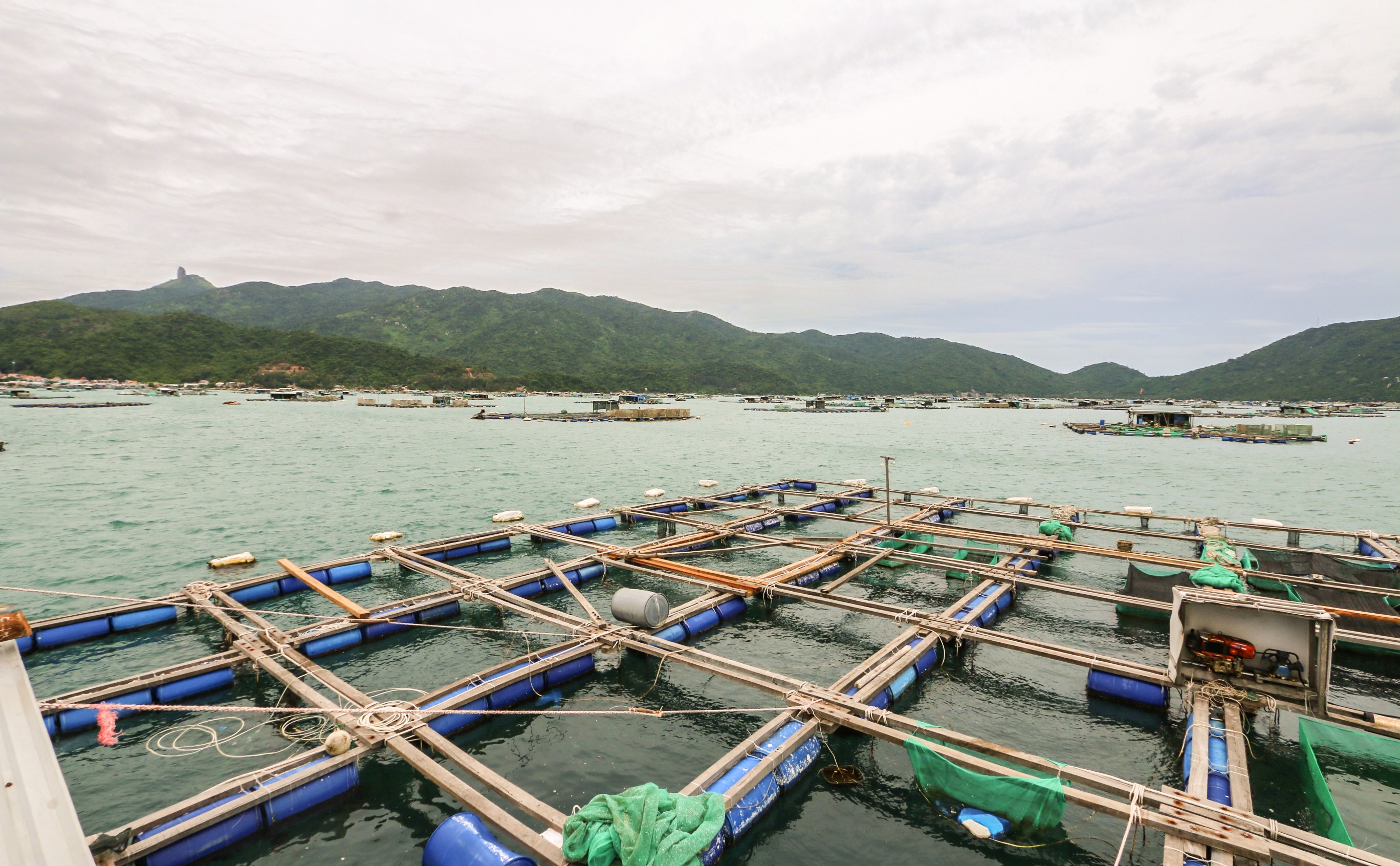 dac san tom hum anh 3