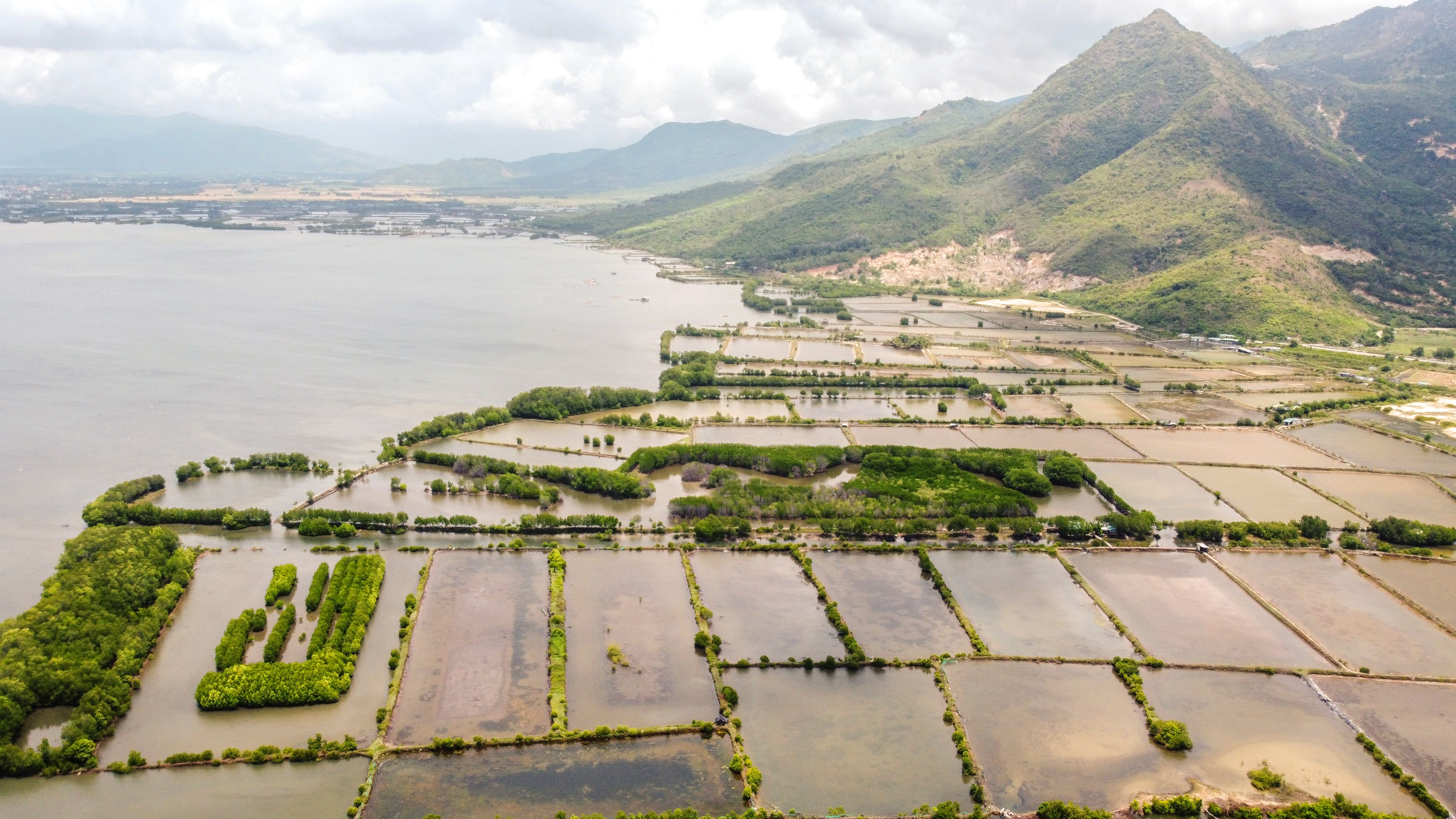 Co tinh trang loan gia dat khi cac tap doan xin dau tu vao Khanh Hoa hinh anh