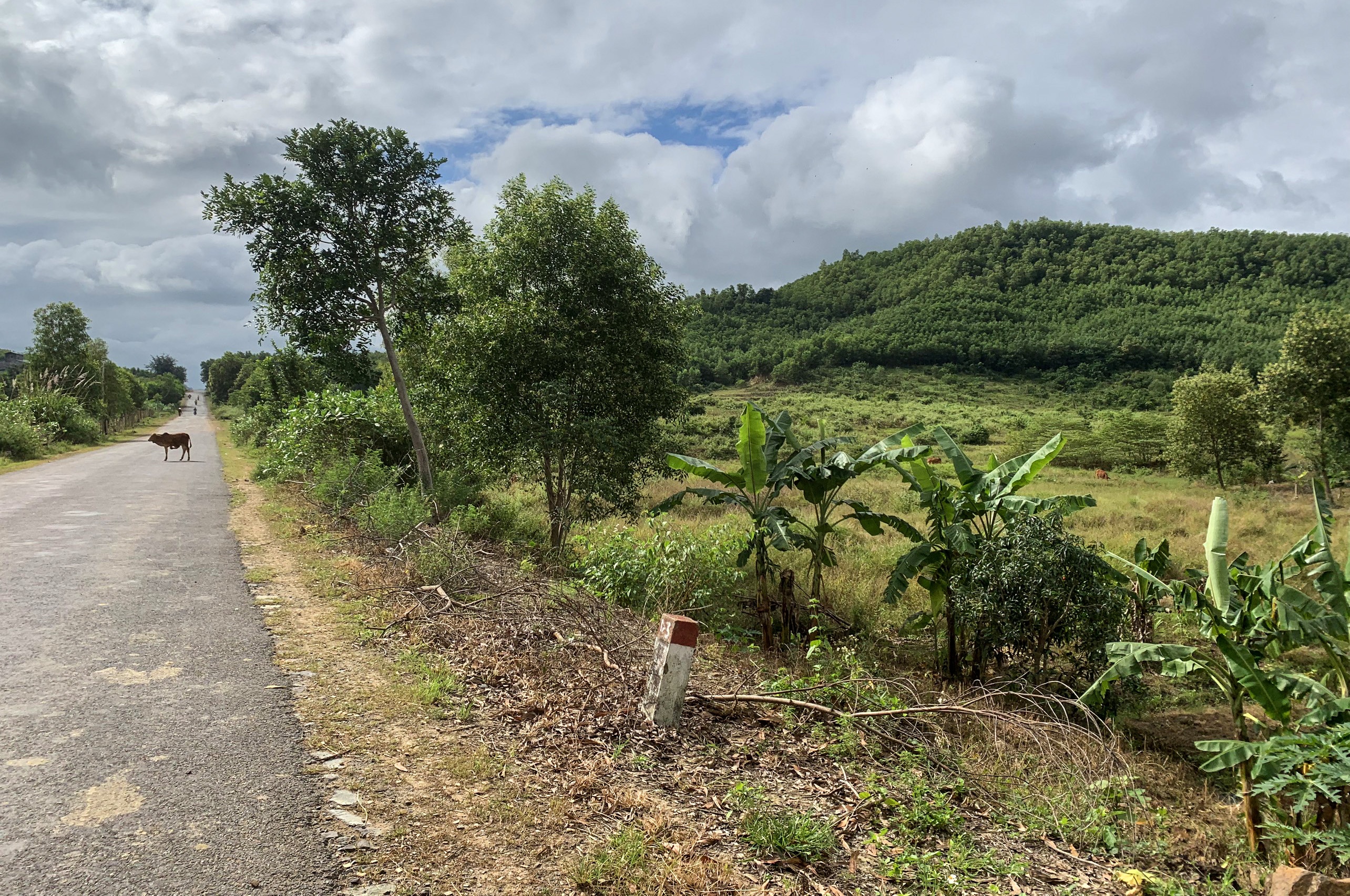 Mua ban dat Ninh Hoa anh 2