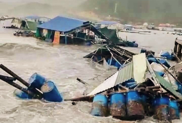 Song lon danh vo gan 100 be nuoi tom hum o Cam Ranh hinh anh