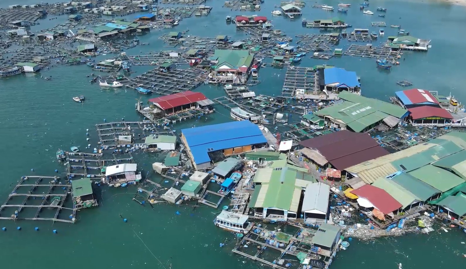 Hang tram long be tom hum tren vinh Cam Ranh tan hoang sau bao Rai hinh anh