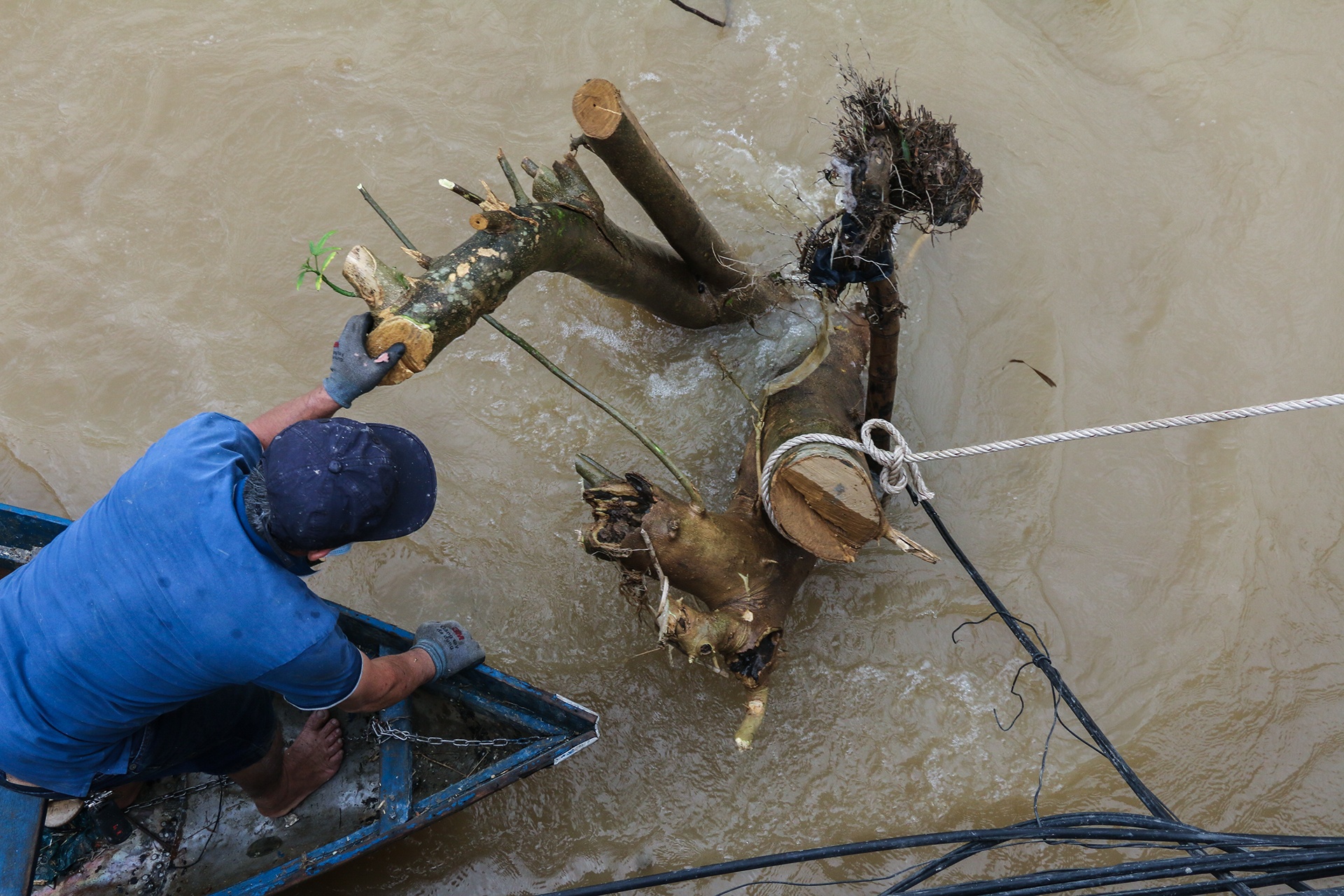cau Ngoc Thao sap anh 11