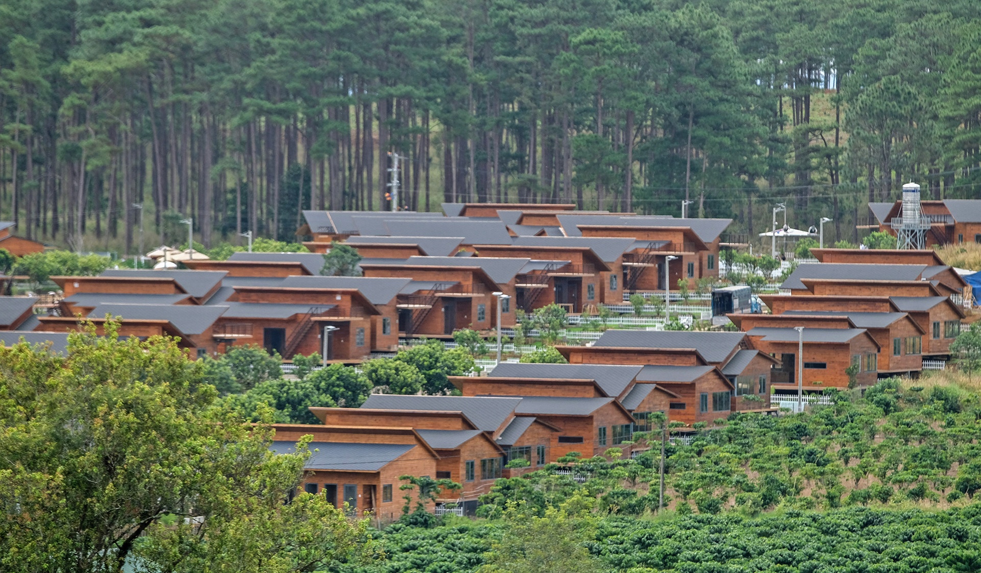 du an ma o Bao Lam anh 10