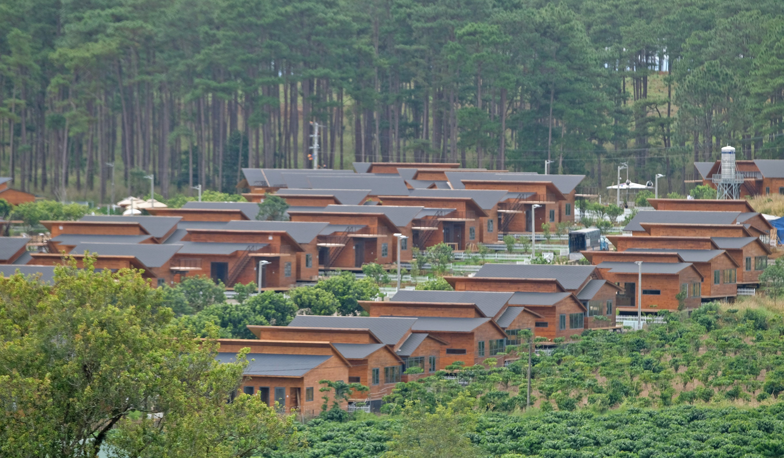 Du an bat dong san giua rung o Bao Lam bi dieu tra sai pham hinh anh