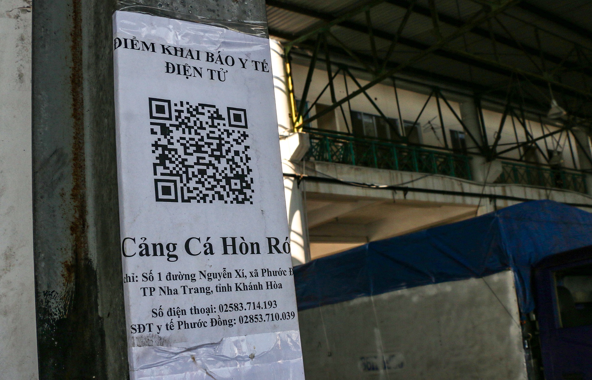 ngu dan an Tet tren bien anh 11