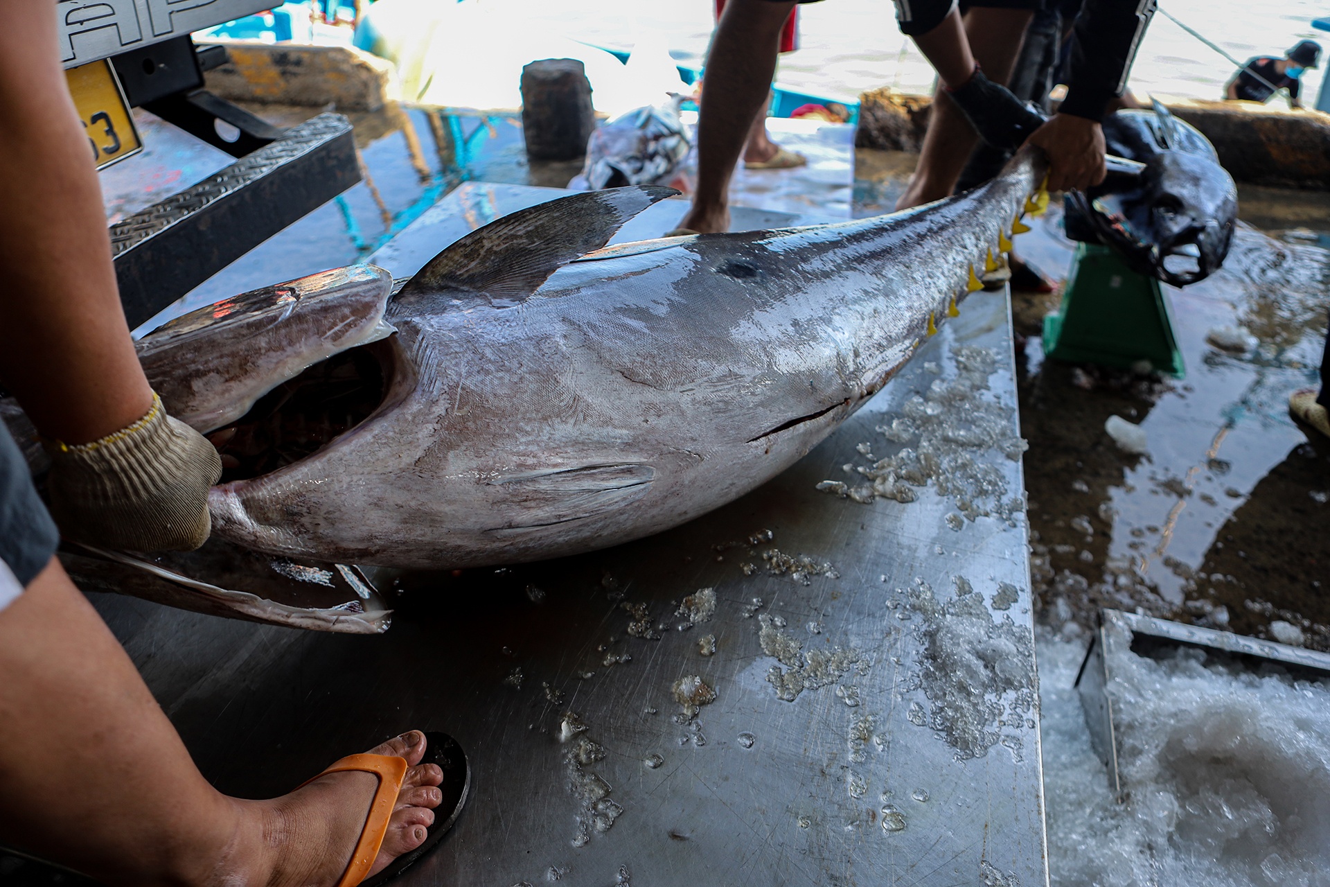 ngu dan an Tet tren bien anh 2