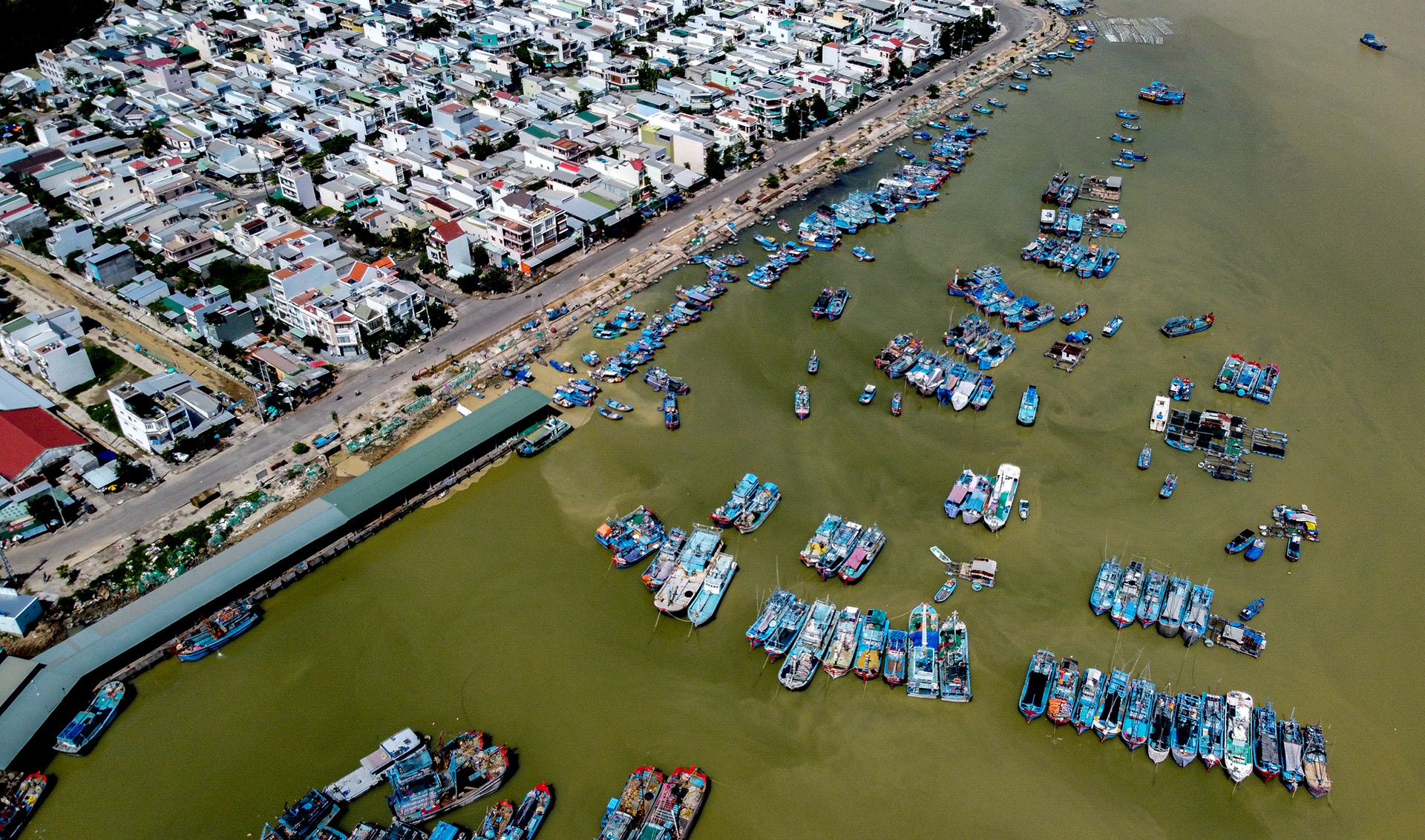 ngu dan an Tet tren bien anh 12